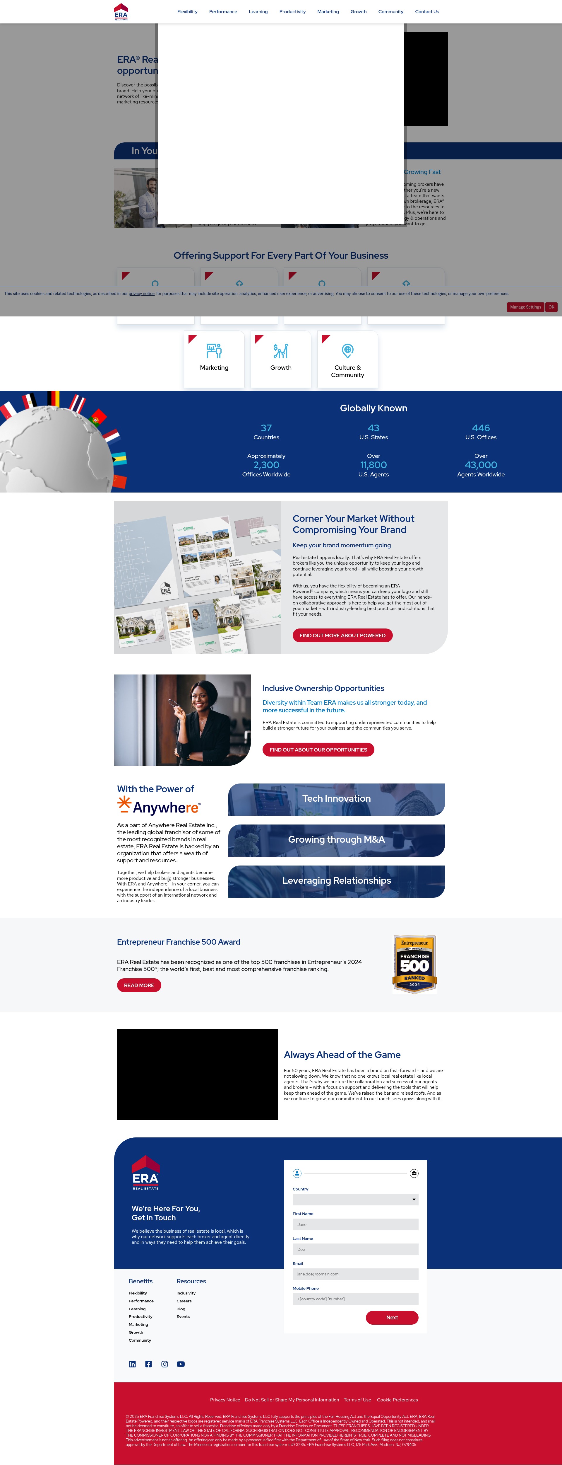 Screenshot of teamera.com