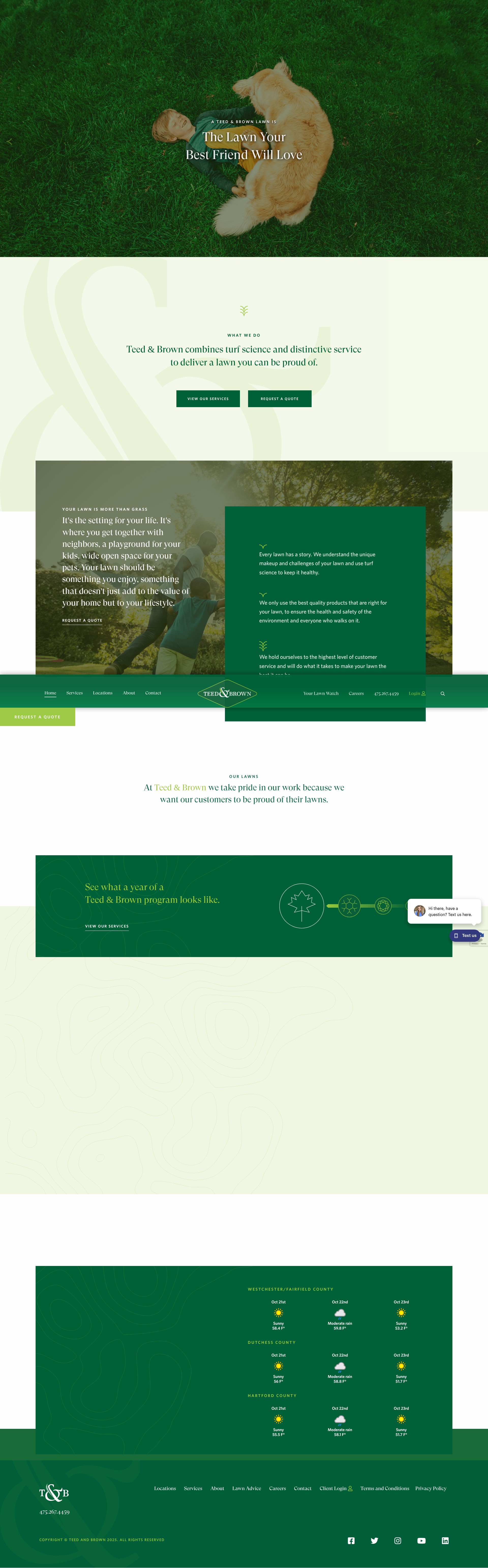 Screenshot of teedandbrown.com