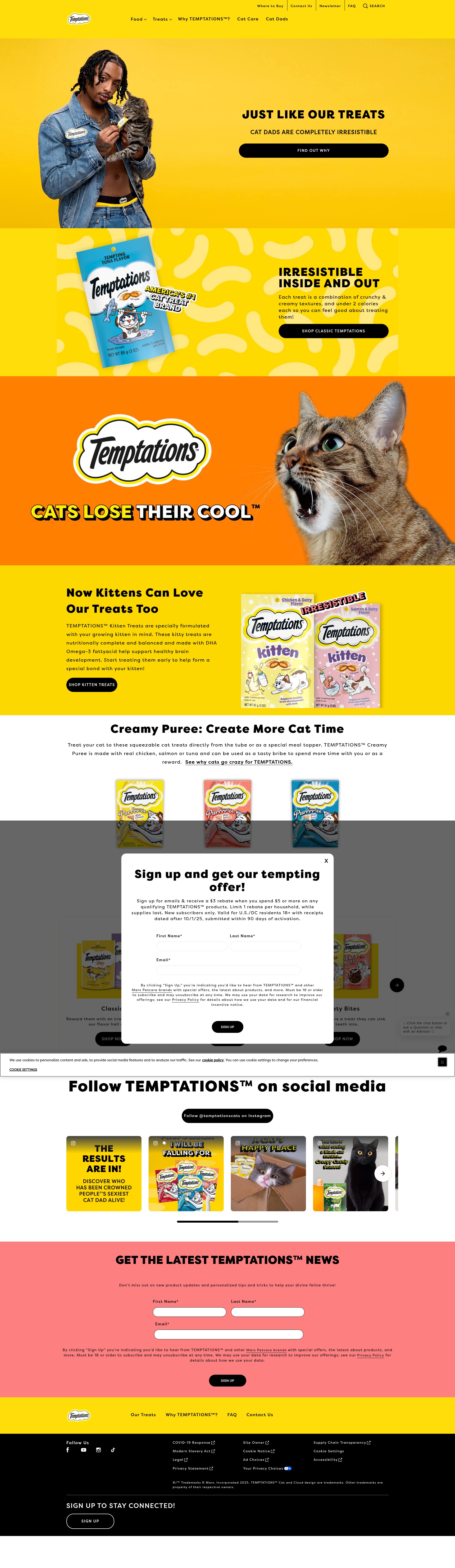 Screenshot of temptationstreats.com