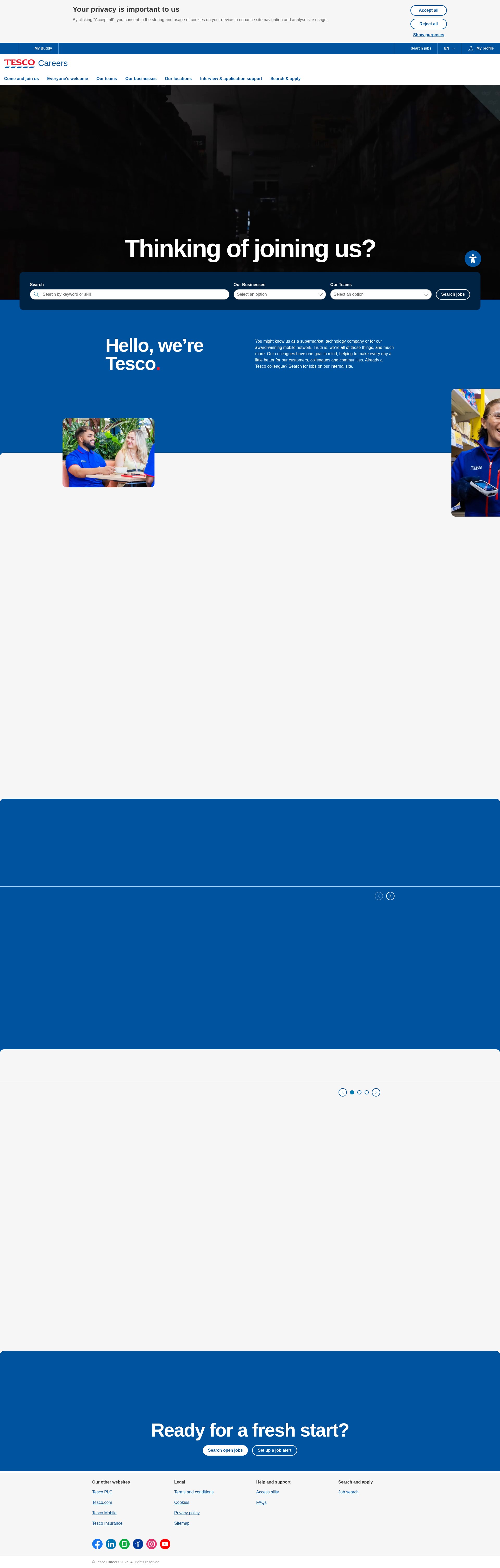 Screenshot of tesco-careers.com