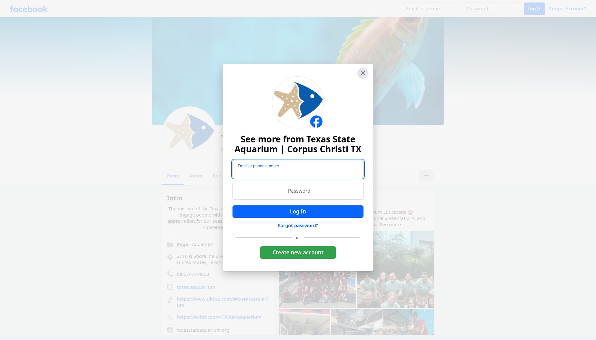 Screenshot of texasstateaquarium.org