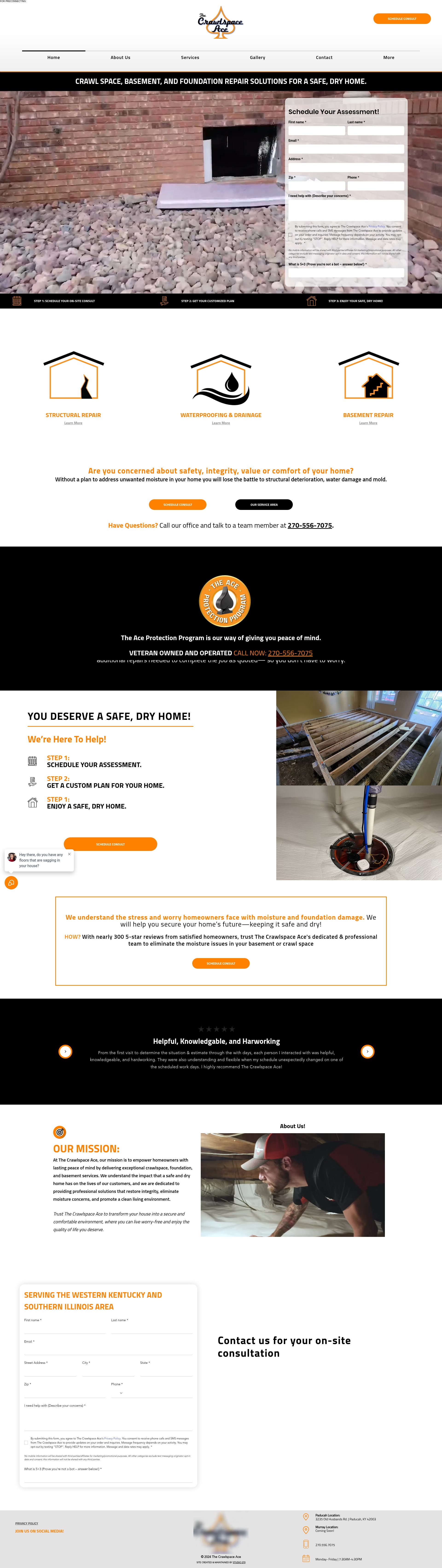 Screenshot of the-crawlspaceace.com