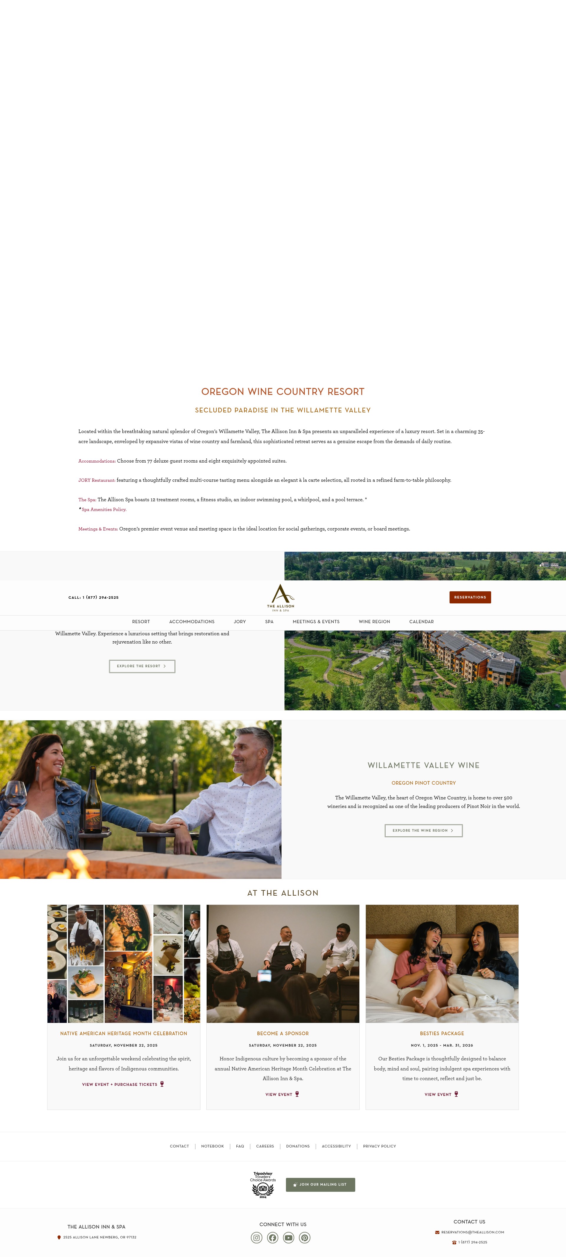 Screenshot of theallison.com