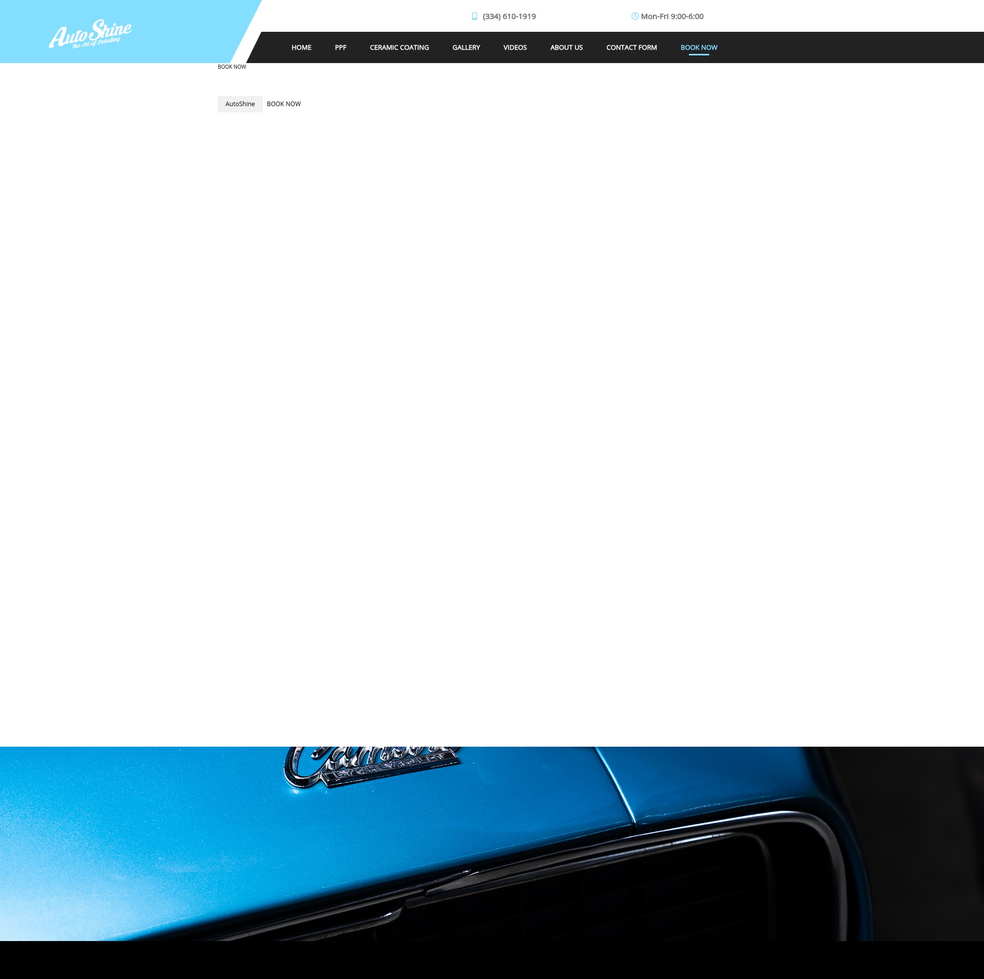 Screenshot of theartofdetailing.com