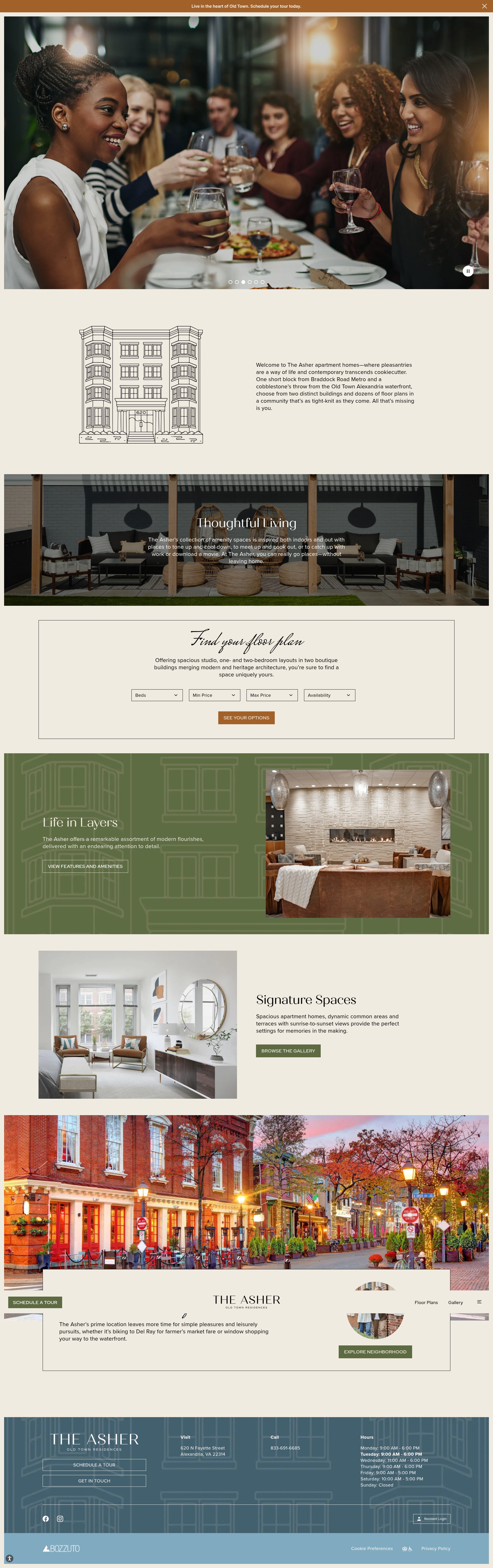 Screenshot of theasherapt.com
