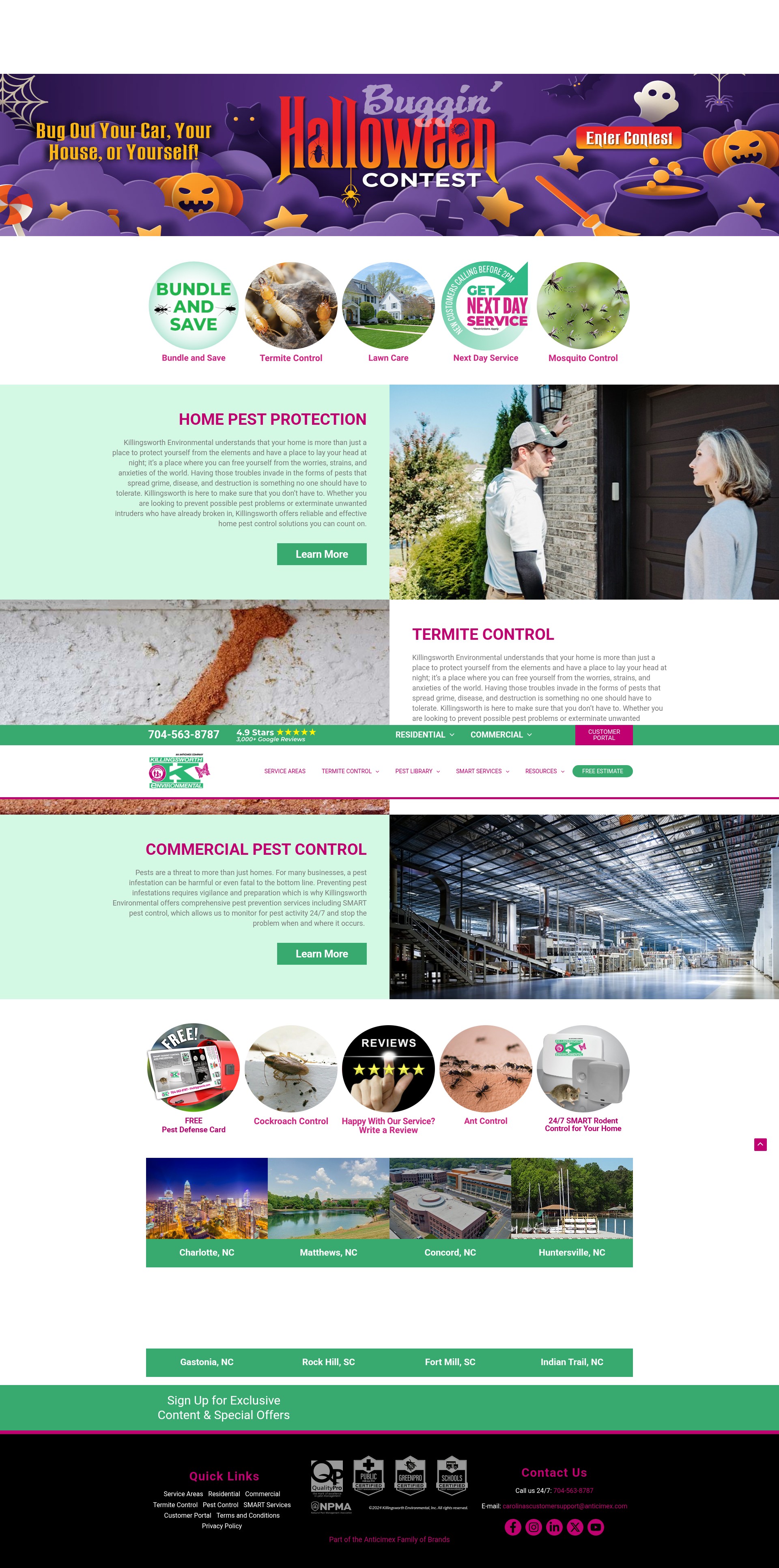 Screenshot of thebiggreenk.com
