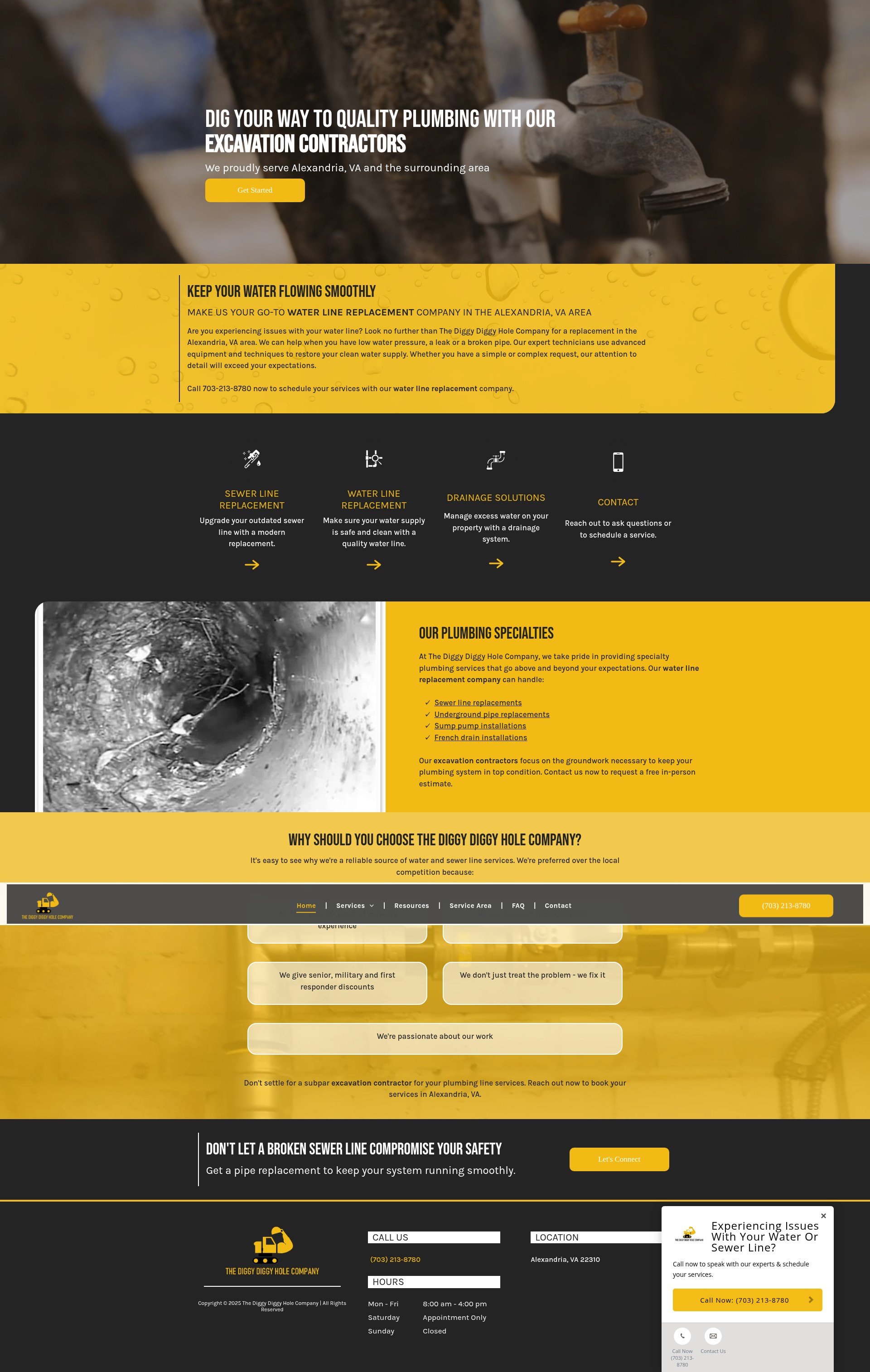Screenshot of thediggydiggyholecompany.com