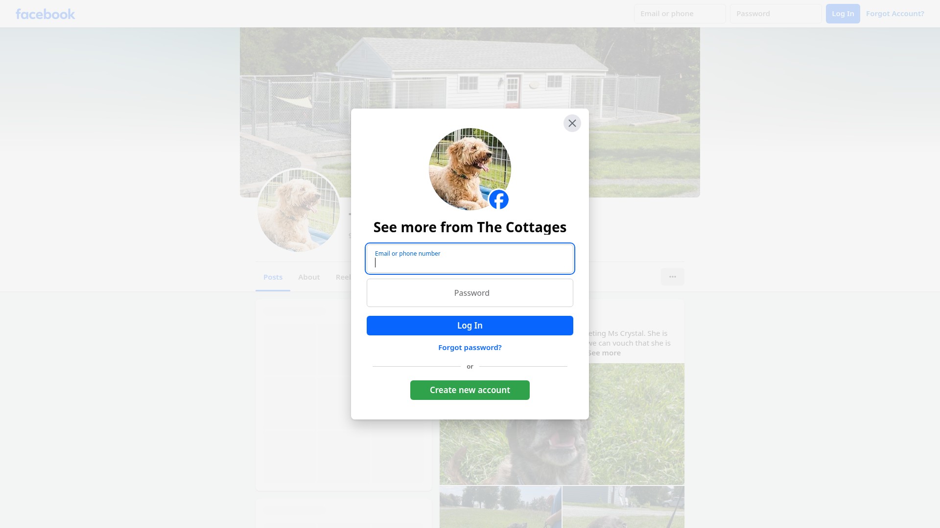 Screenshot of thedogcottages.com
