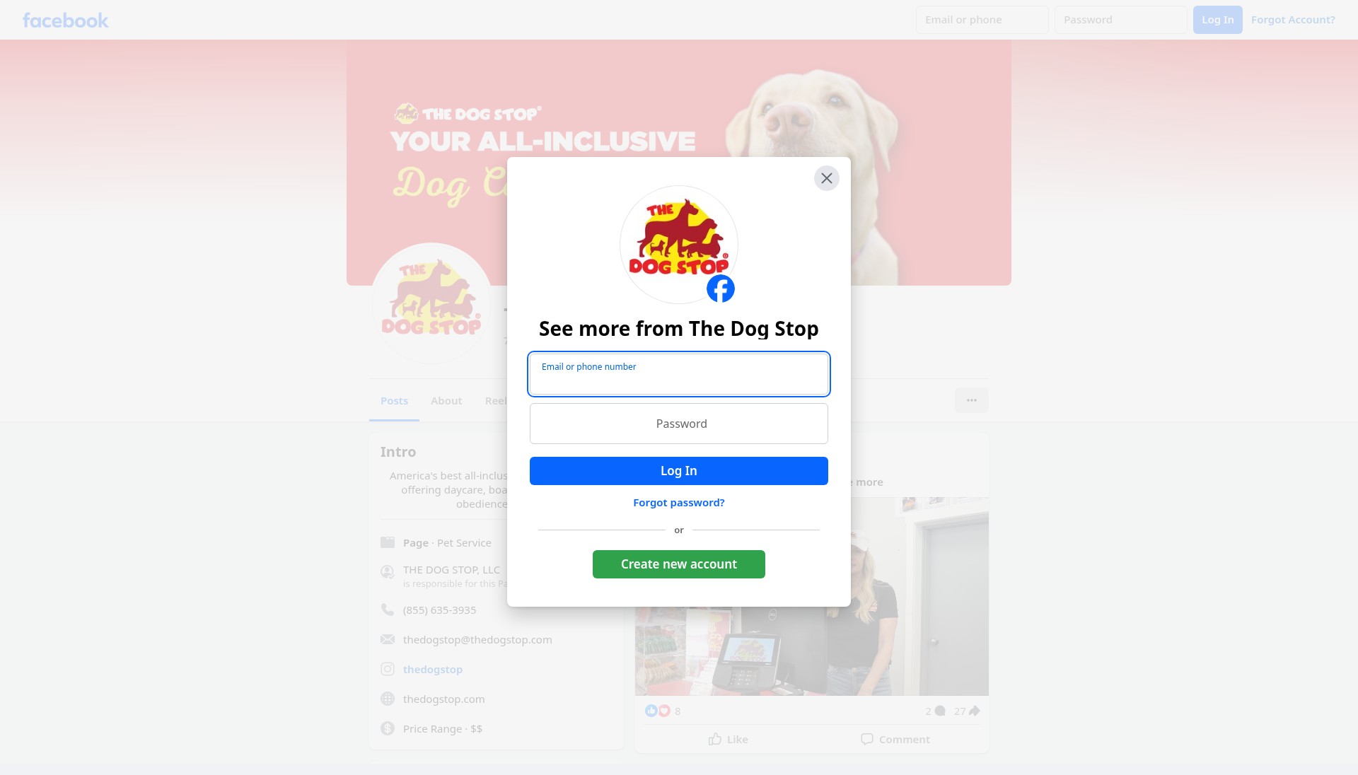 Screenshot of thedogstop.com