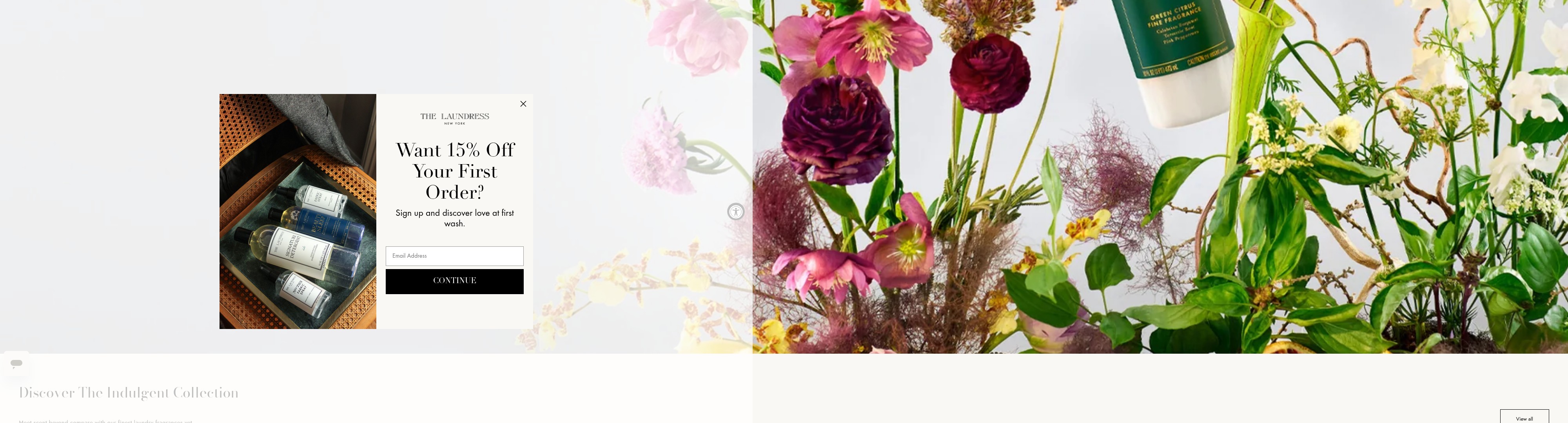 Screenshot of thelaundress.com