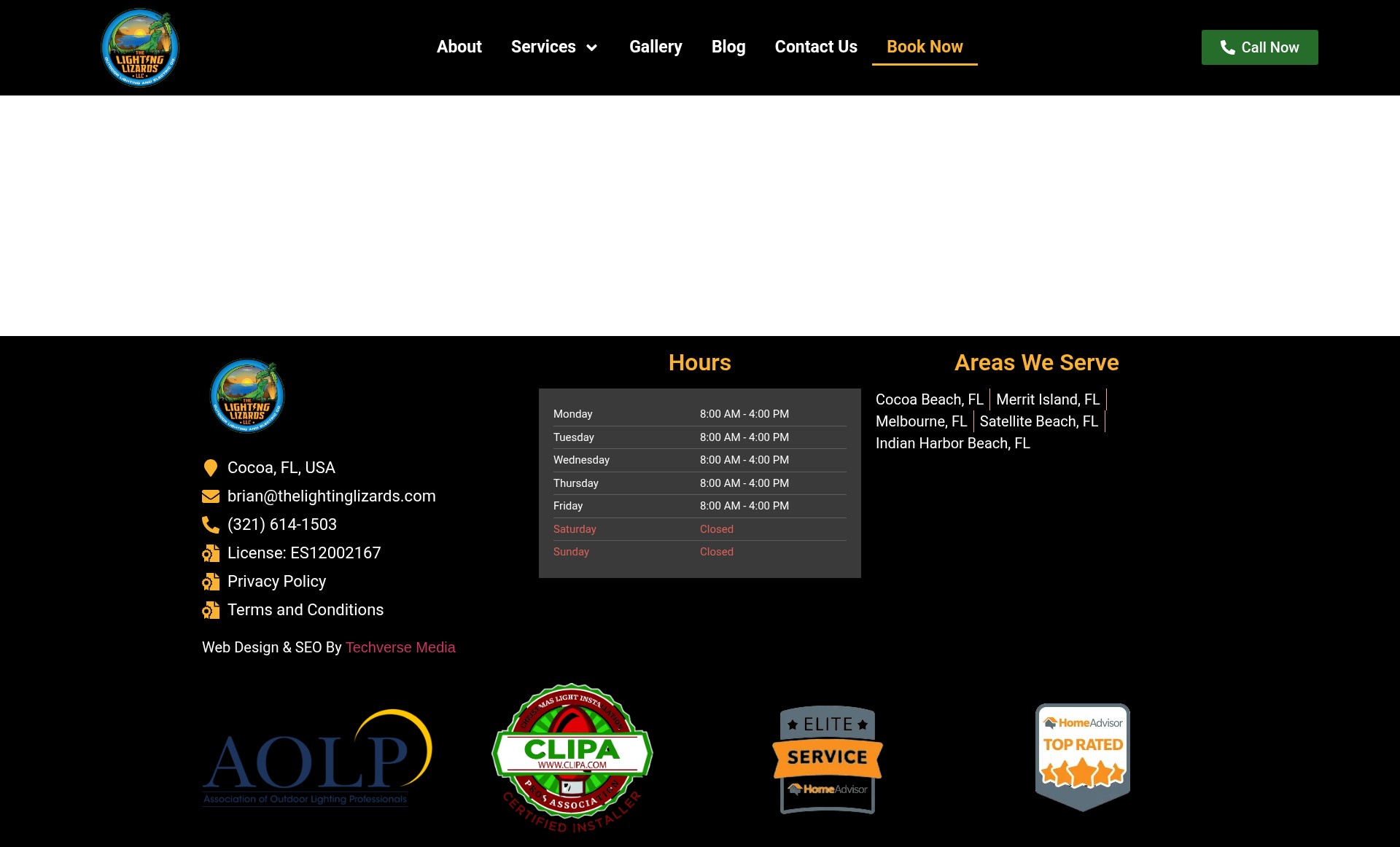 Screenshot of thelightinglizards.com