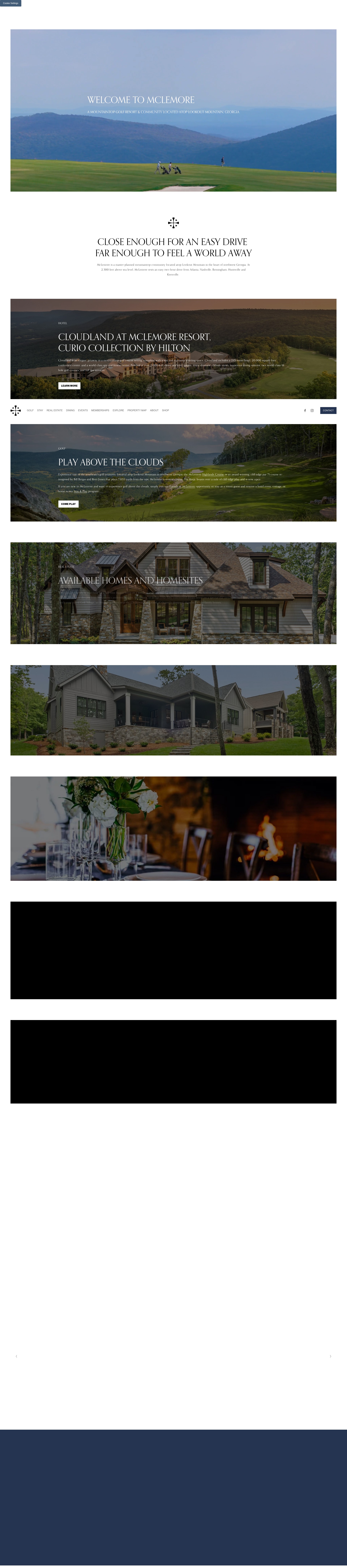 Screenshot of themclemore.com