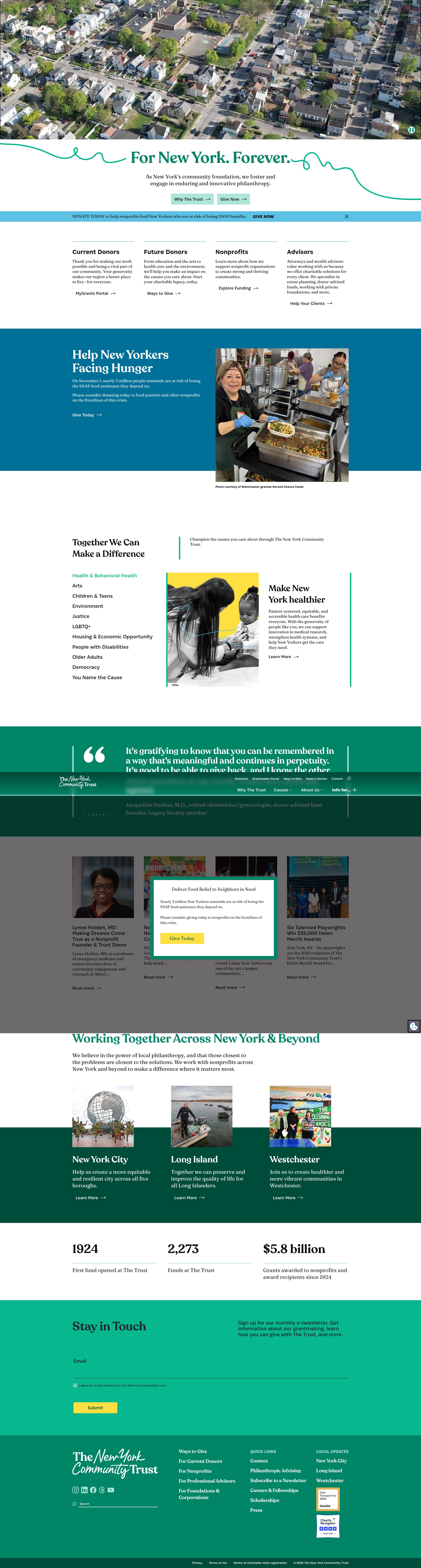 Screenshot of thenytrust.org