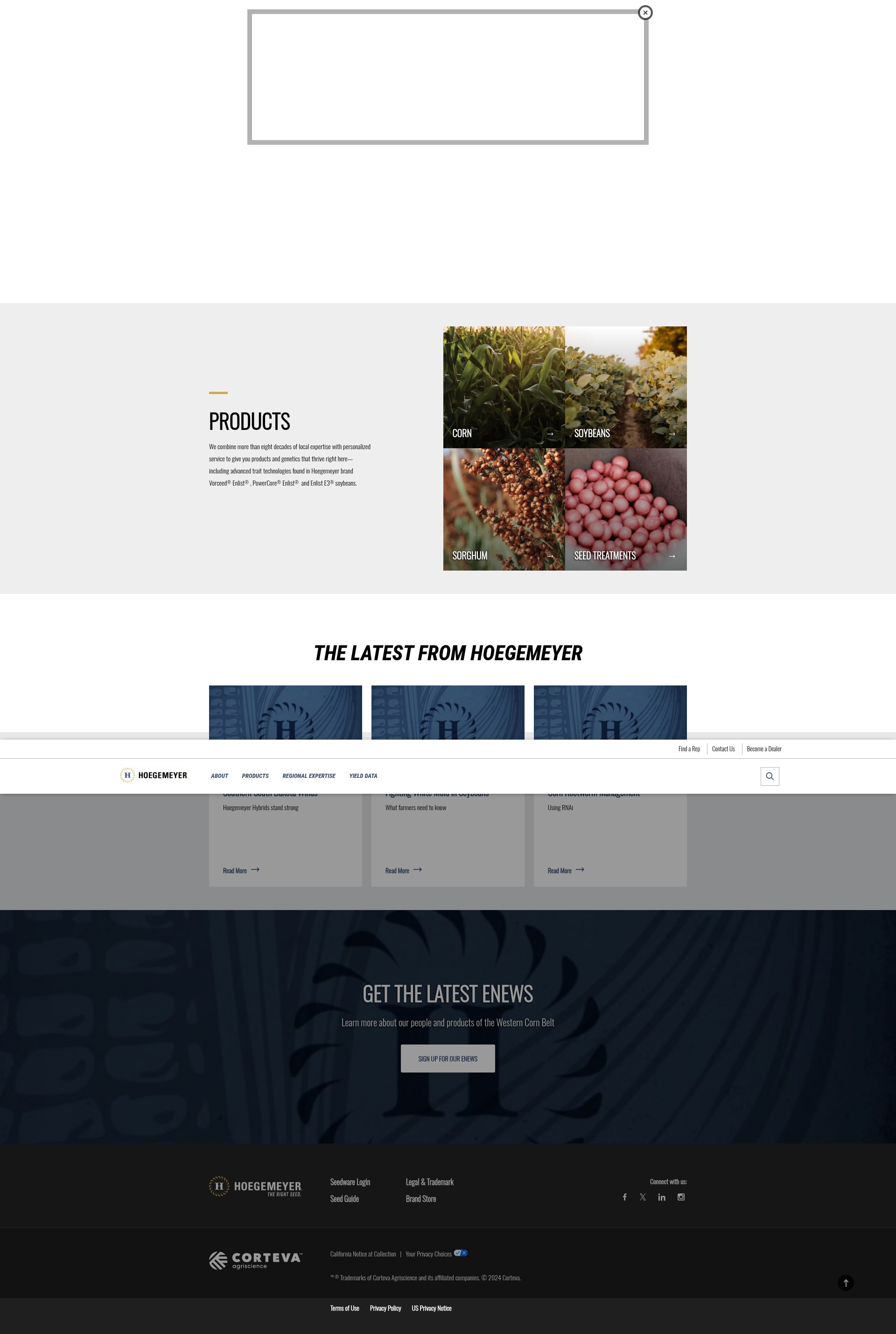 Screenshot of therightseed.com