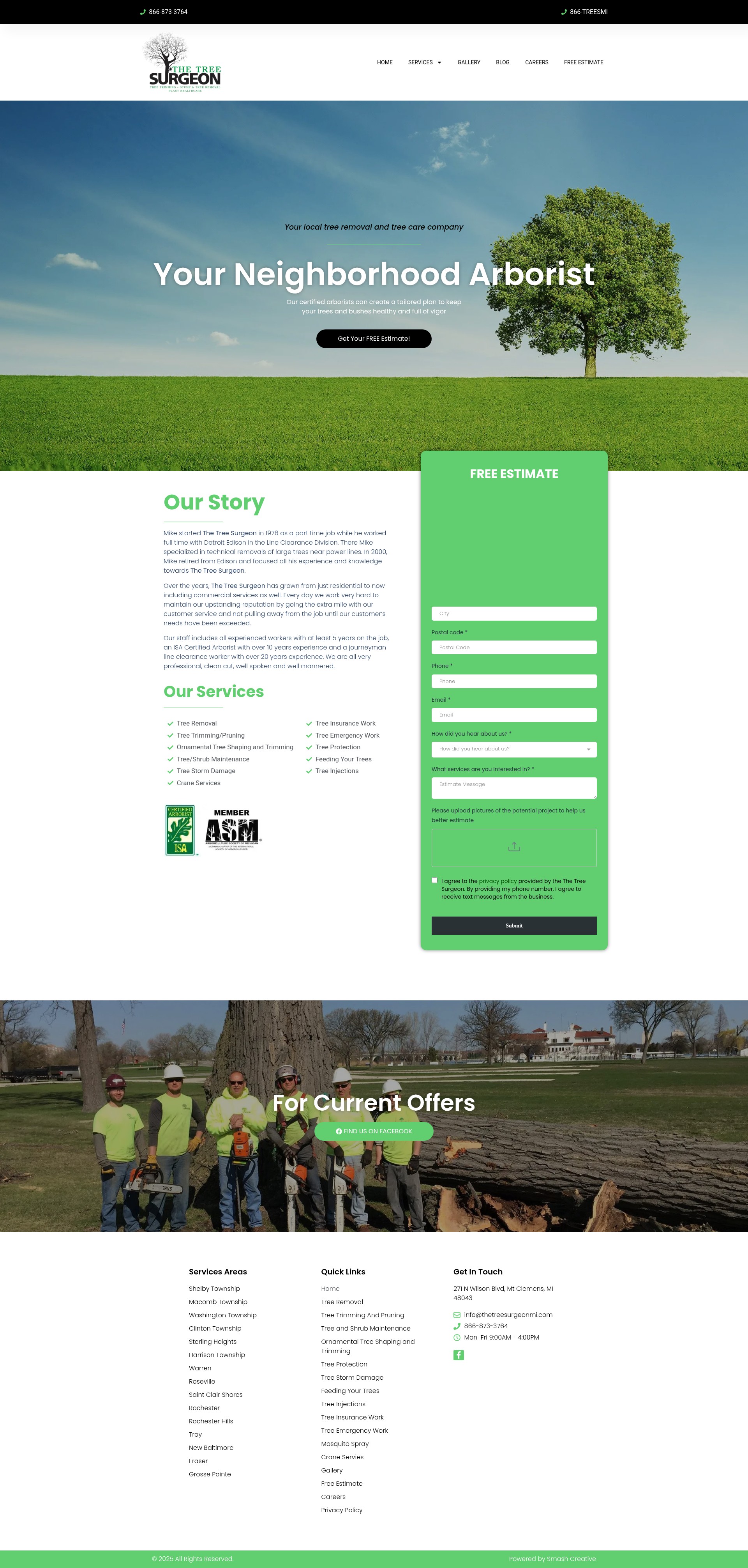 Screenshot of thetreesurgeonmi.com