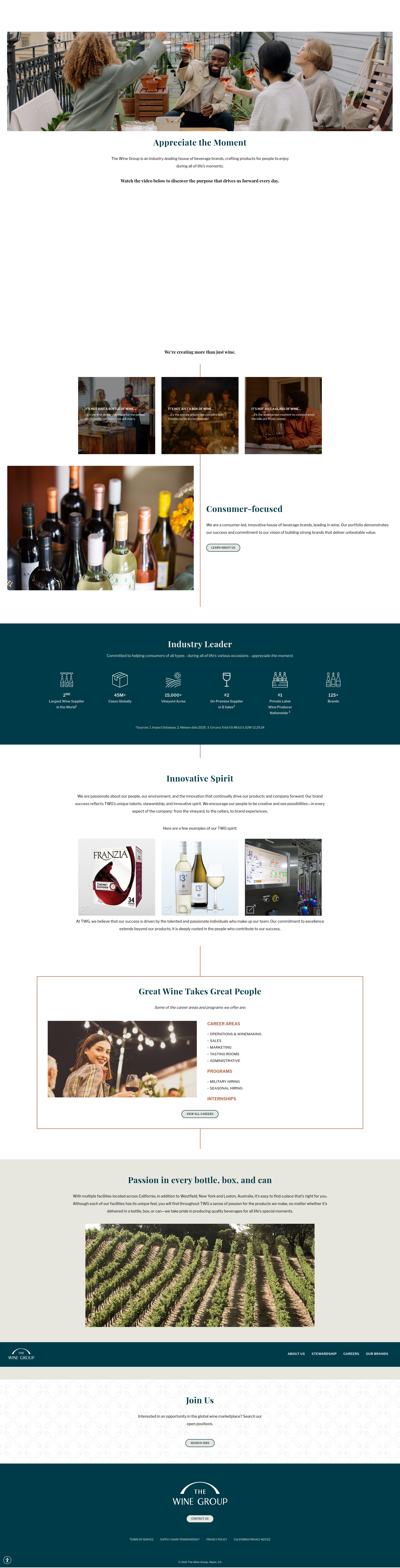 Screenshot of thewinegroup.com