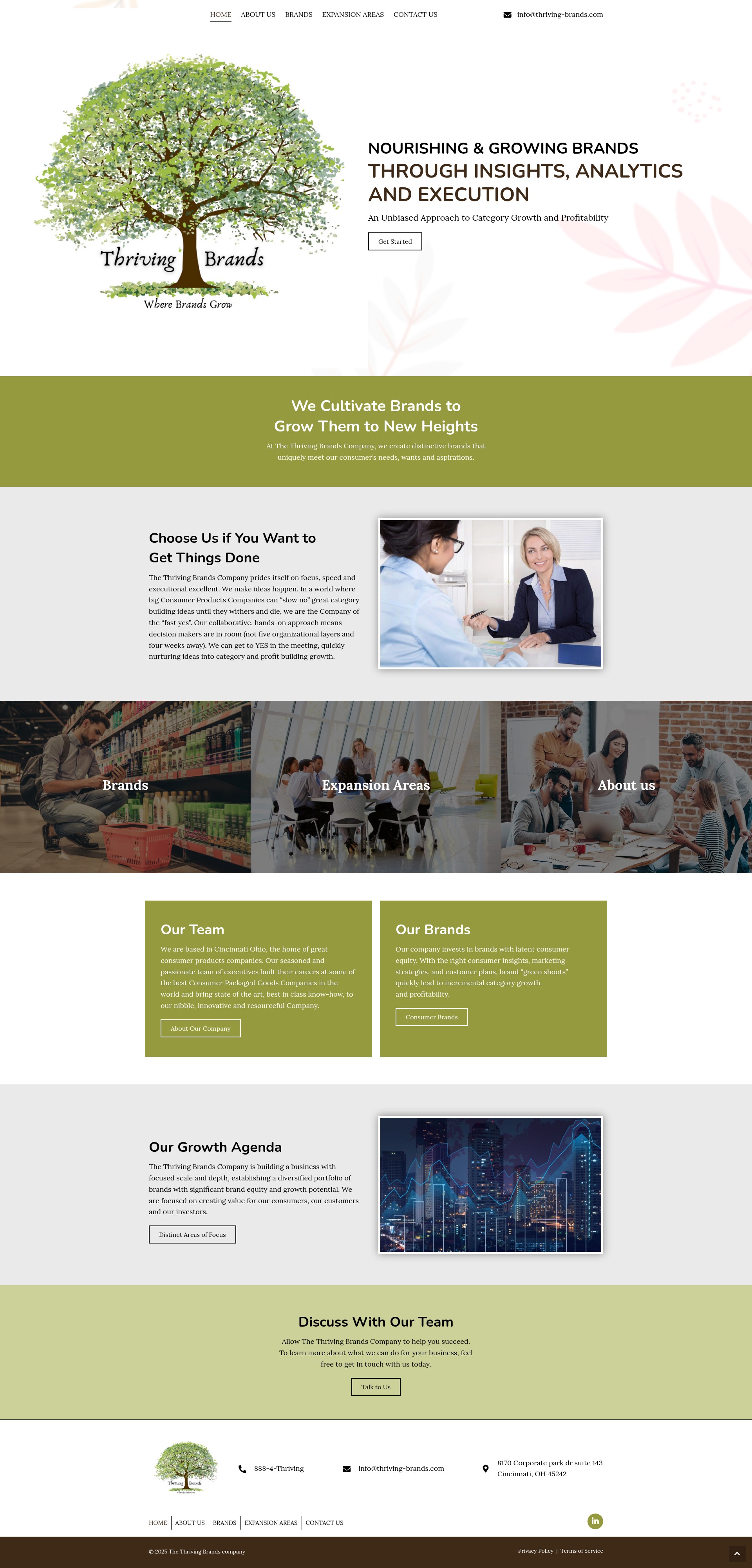 Screenshot of thriving-brands.com