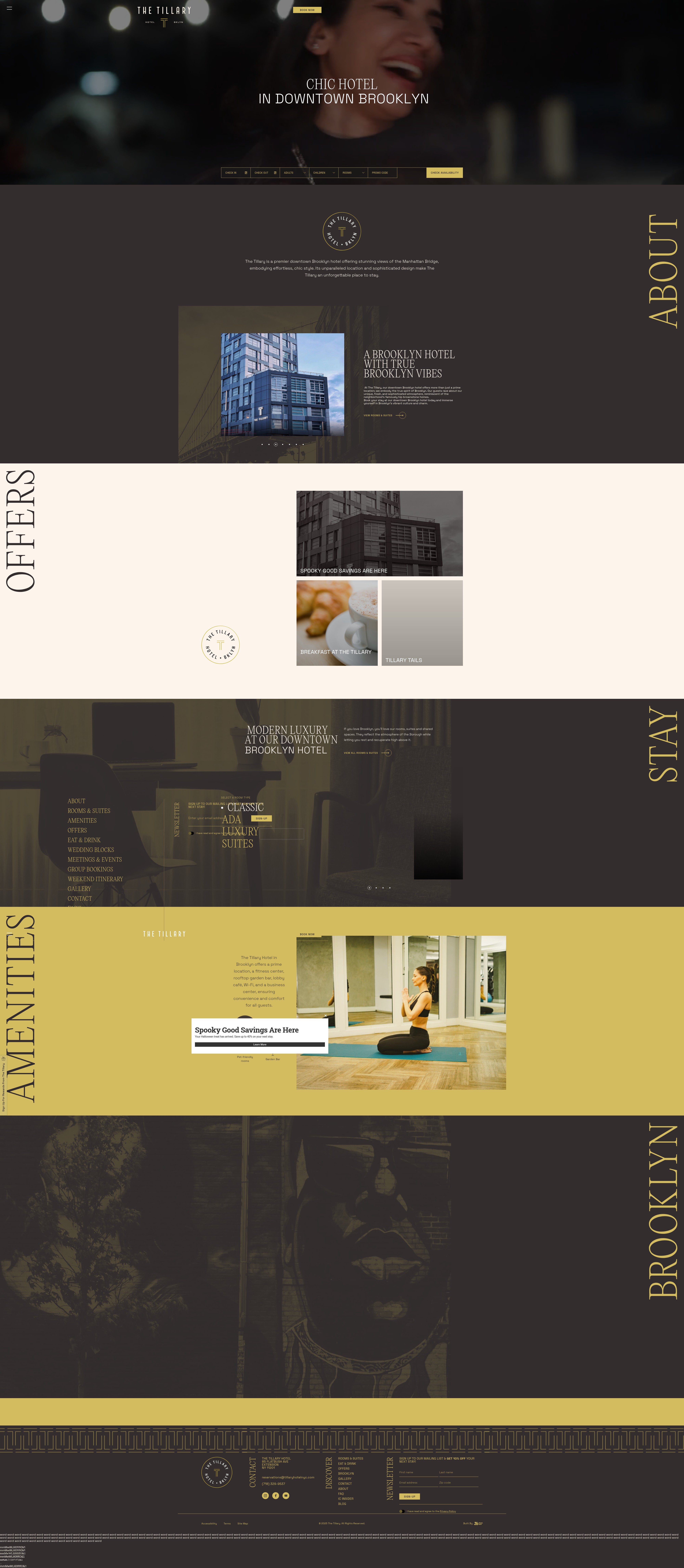 Screenshot of tillaryhotelnyc.com