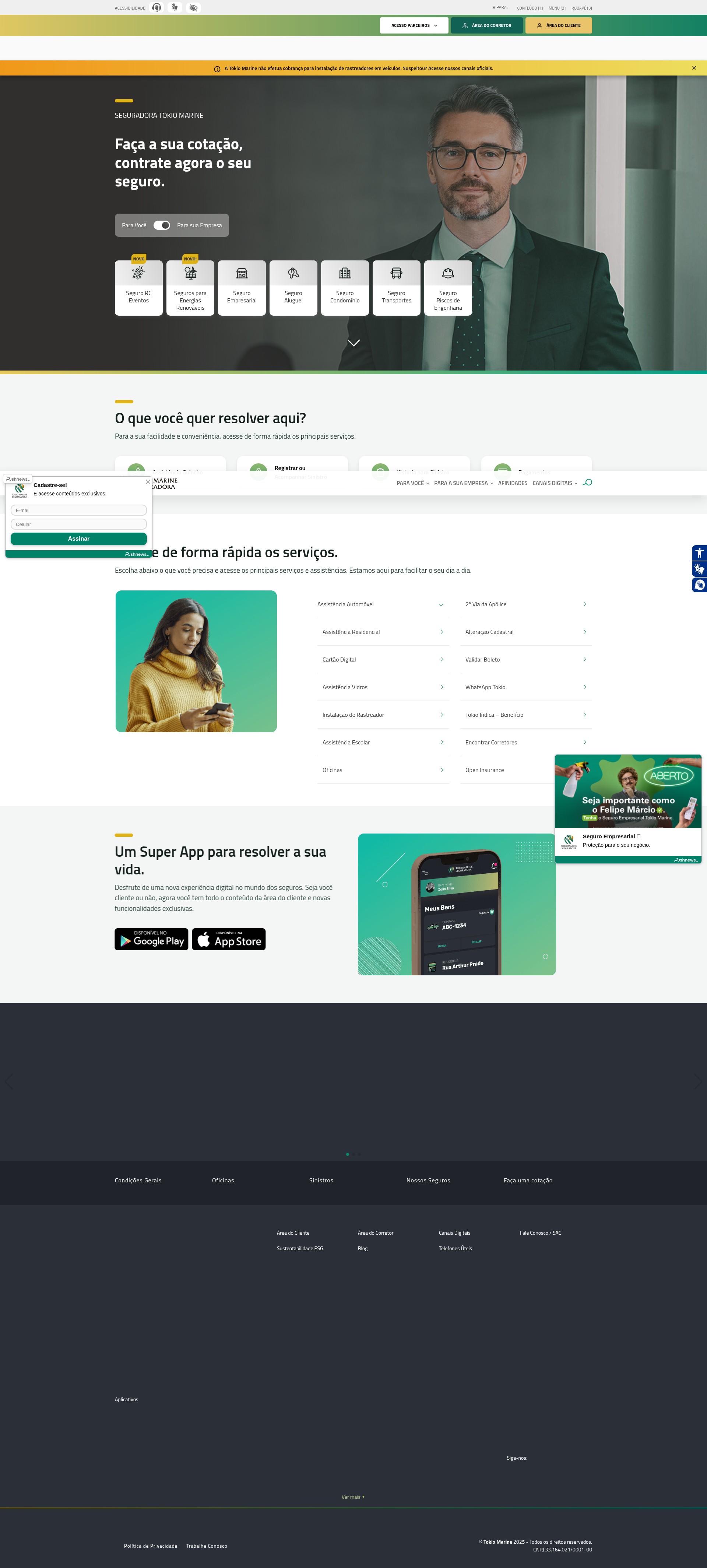 Screenshot of tokiomarine.com.br