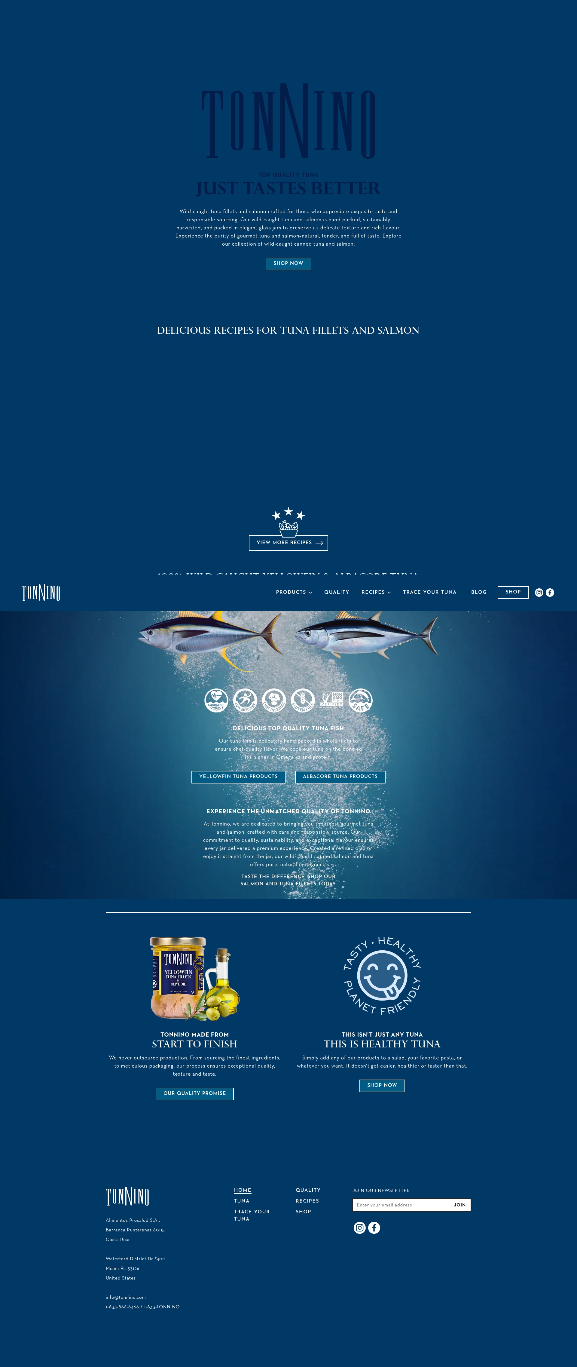 Screenshot of tonnino.com