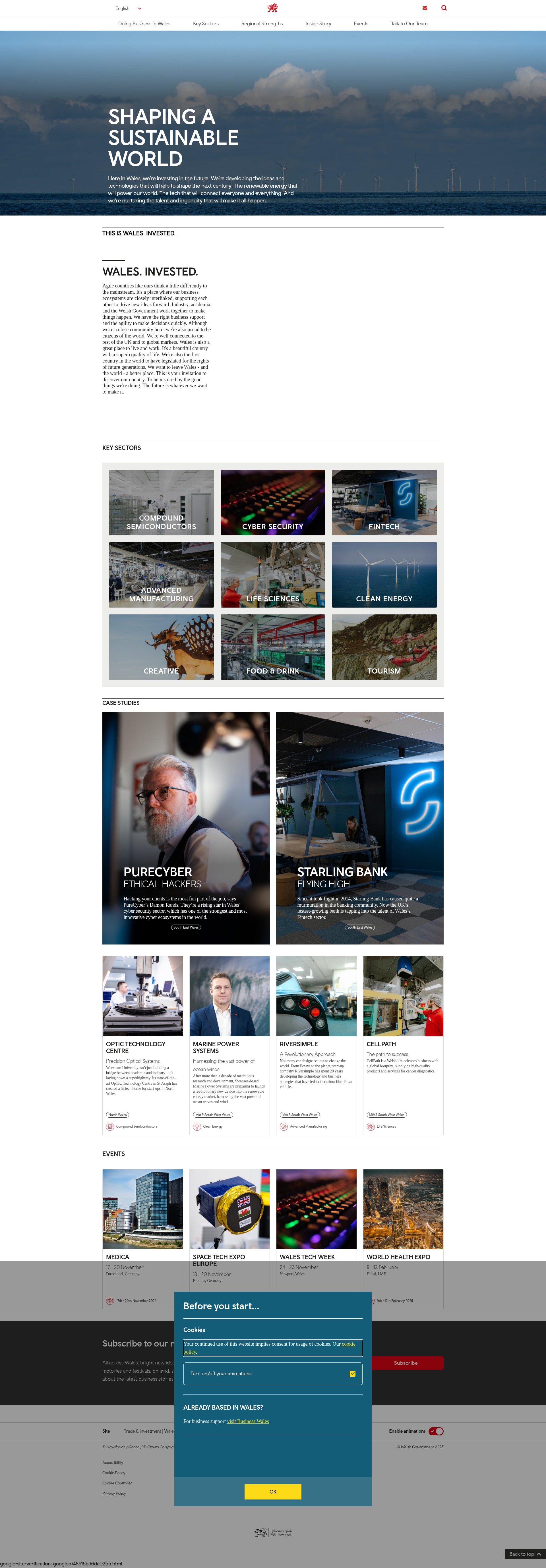 Screenshot of tradeandinvest.wales
