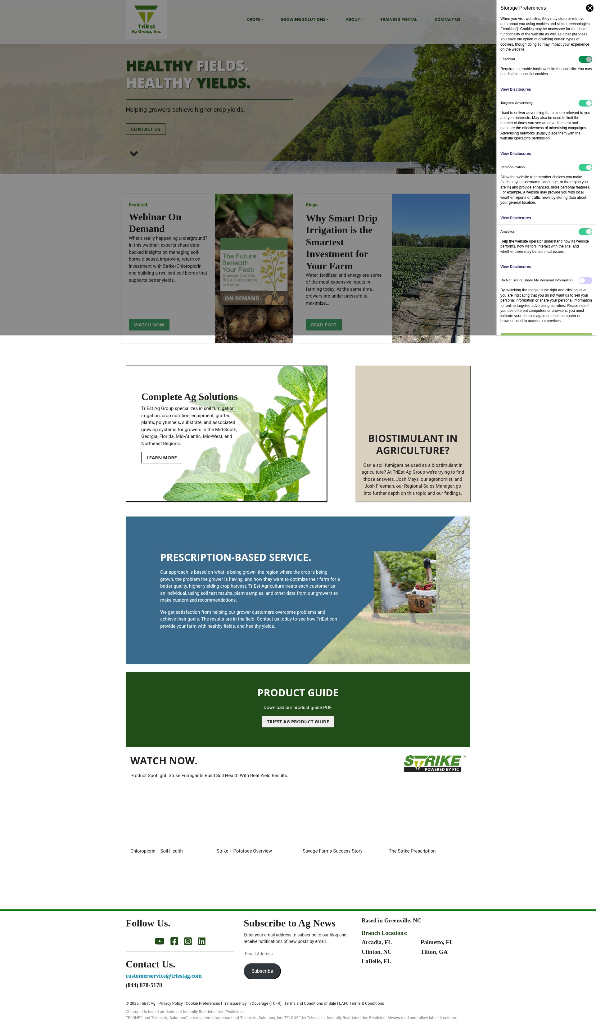 Screenshot of triestag.com