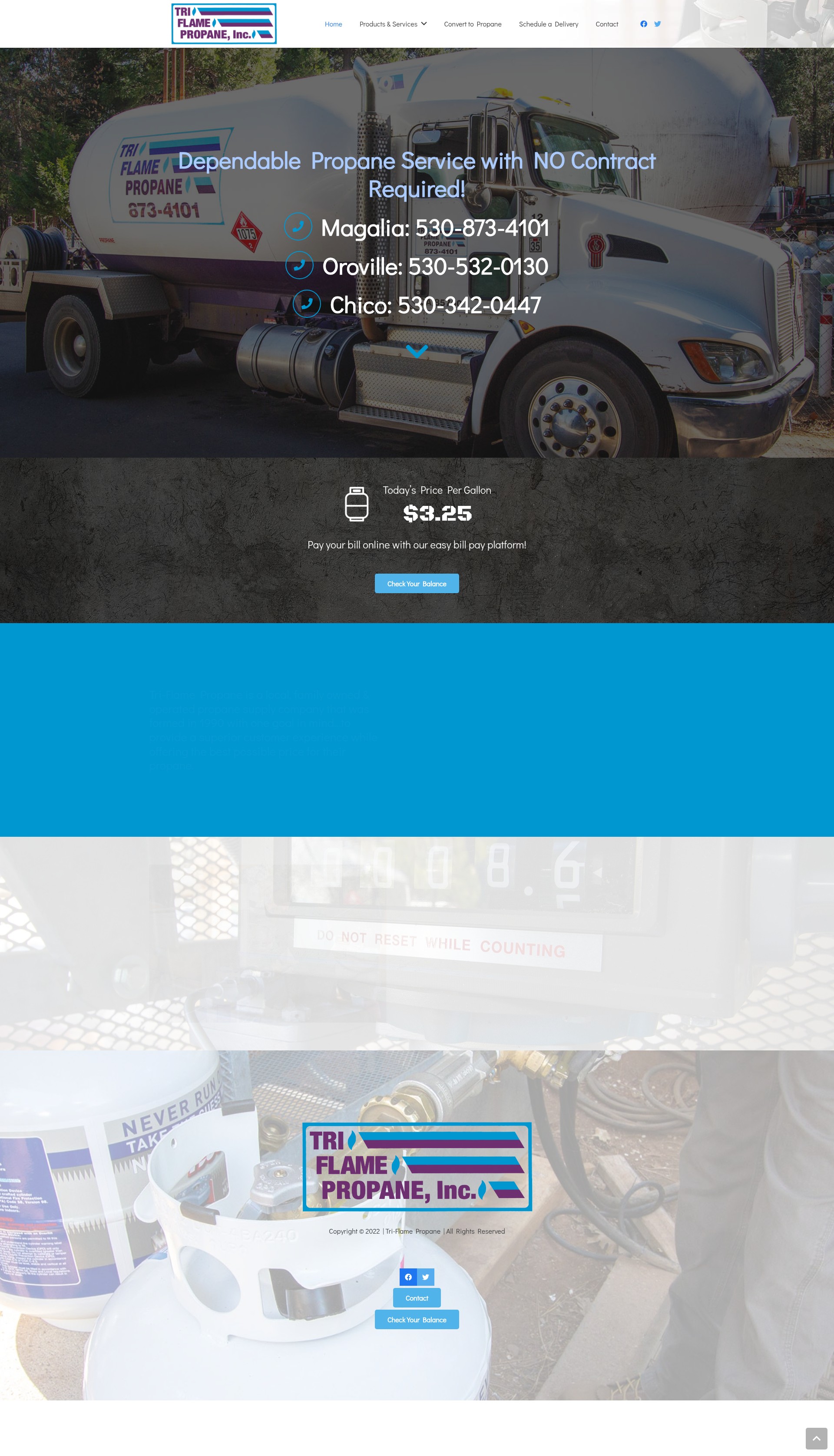 Screenshot of triflamepropane.com
