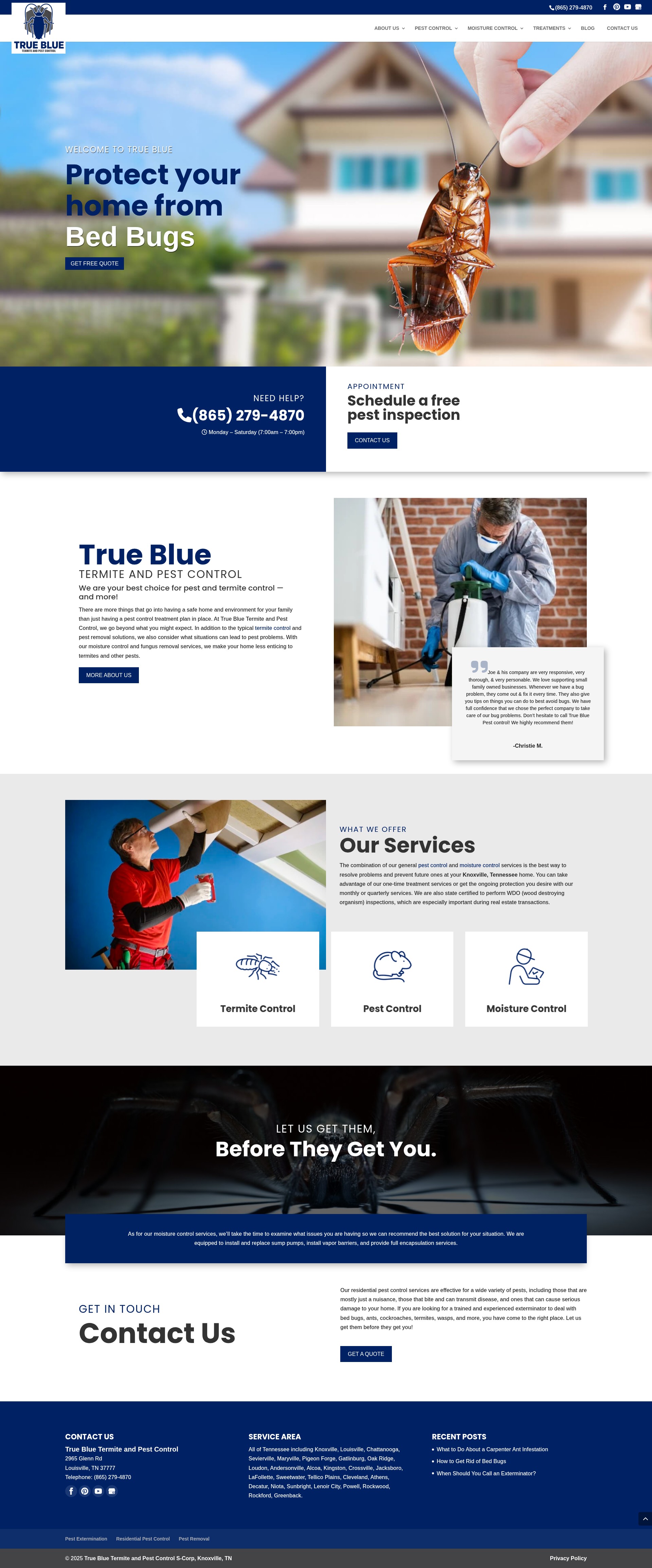 Screenshot of truebluetermite.com