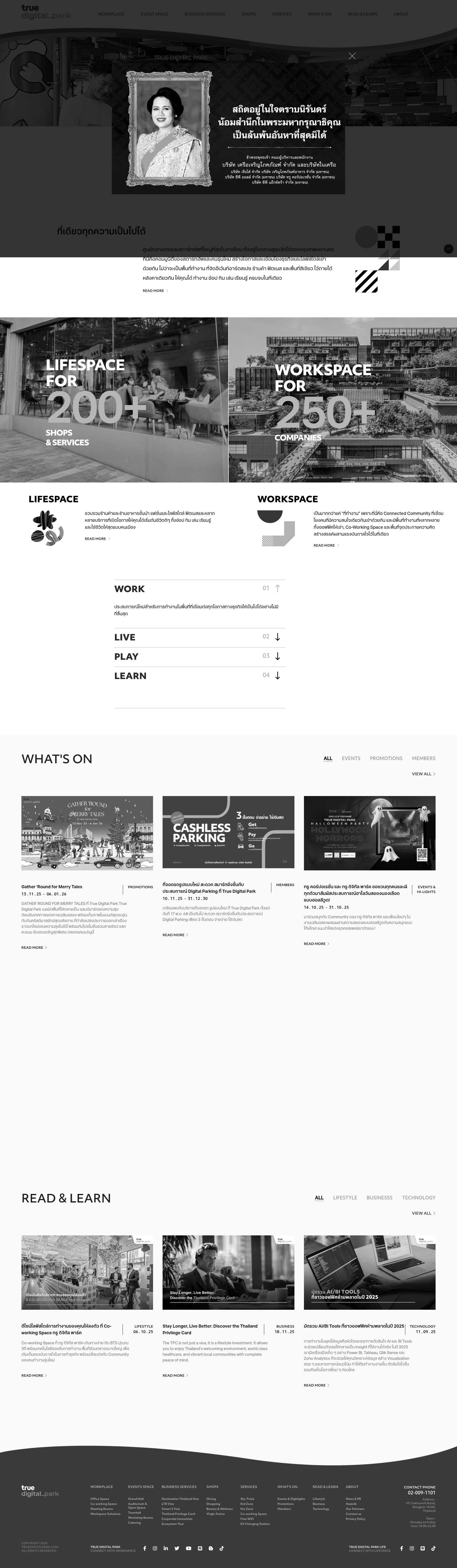 Screenshot of truedigitalpark.com