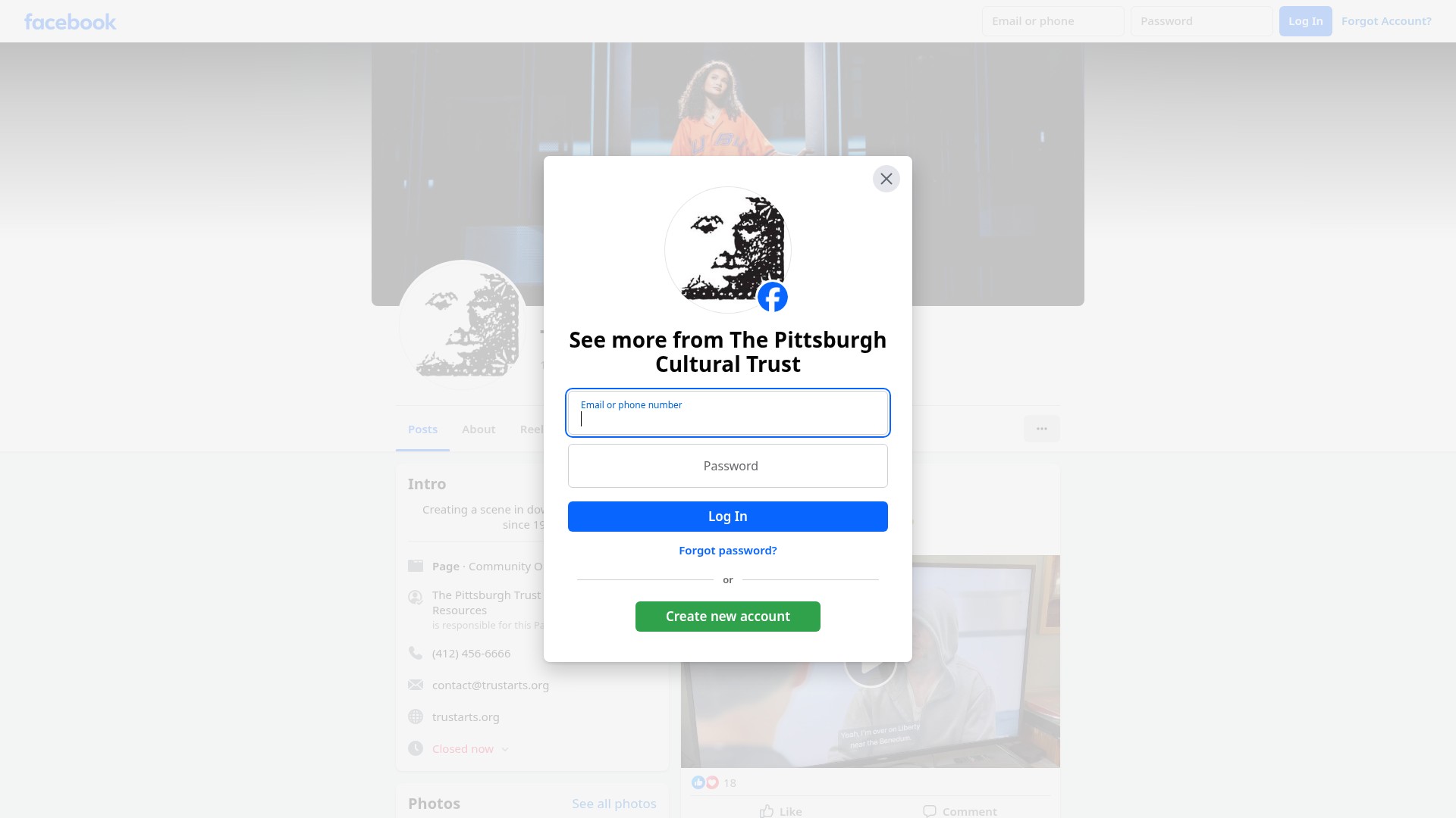 Screenshot of trustarts.org
