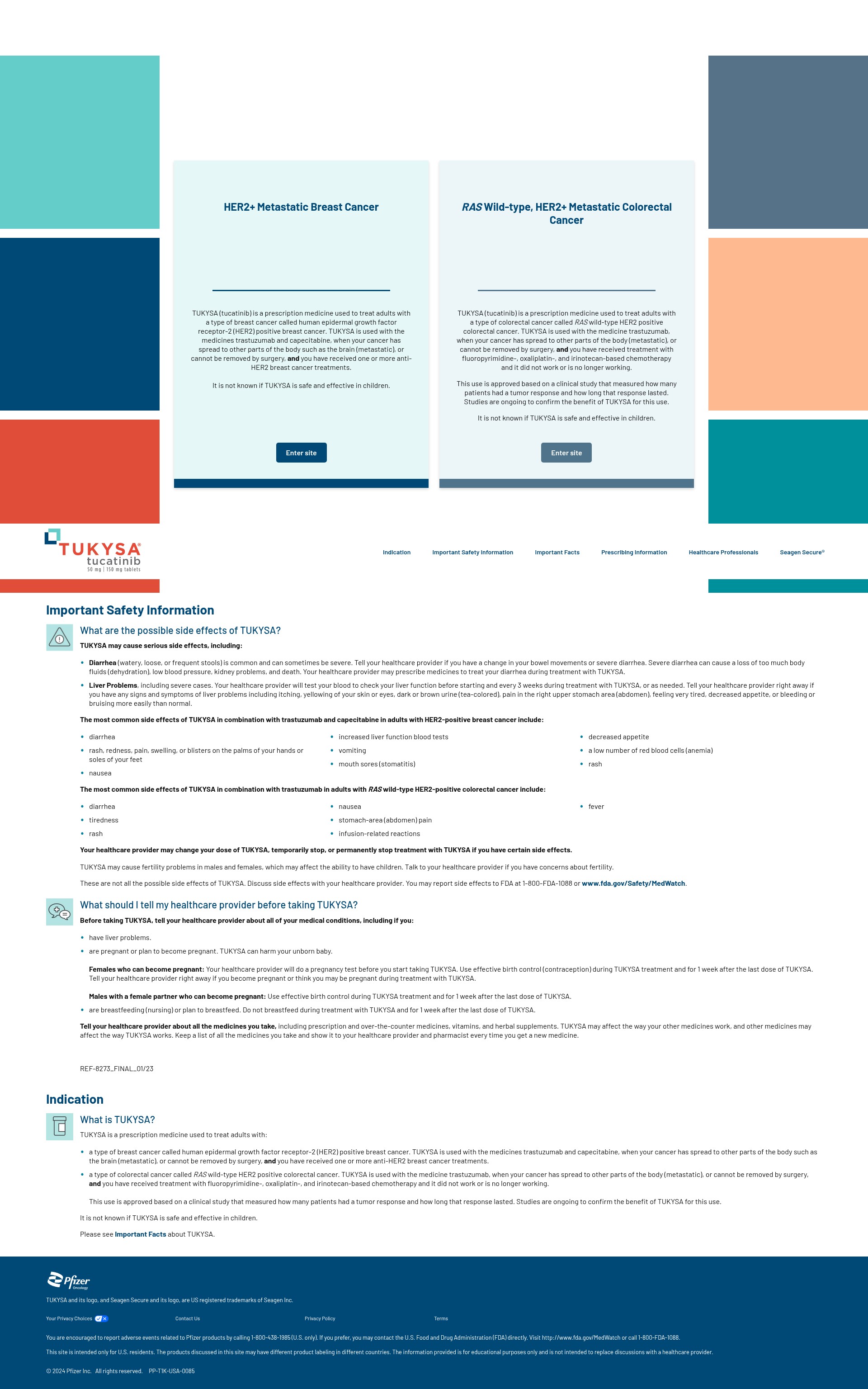 Screenshot of tukysa.com