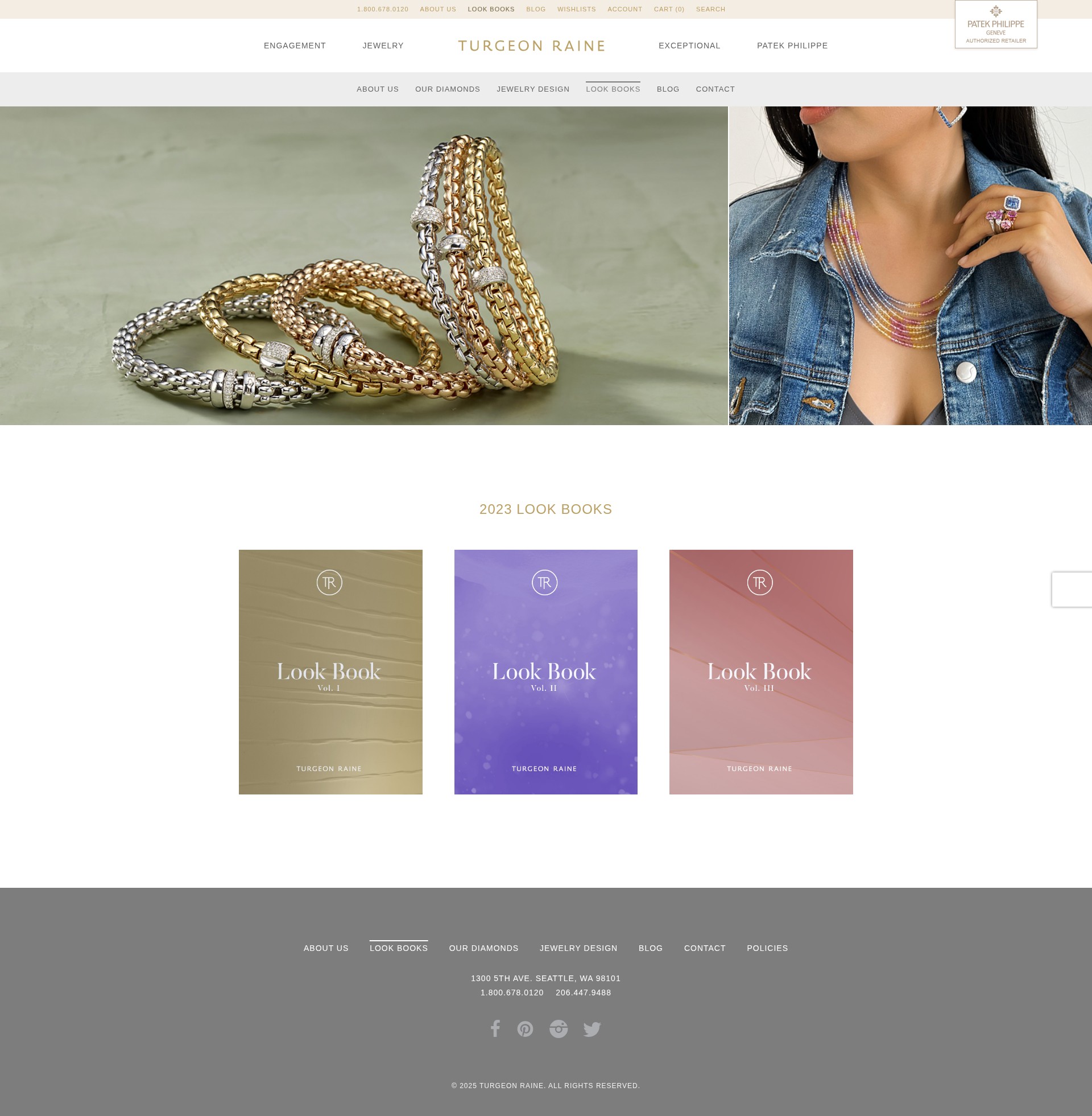 Screenshot of turgeonraine.com