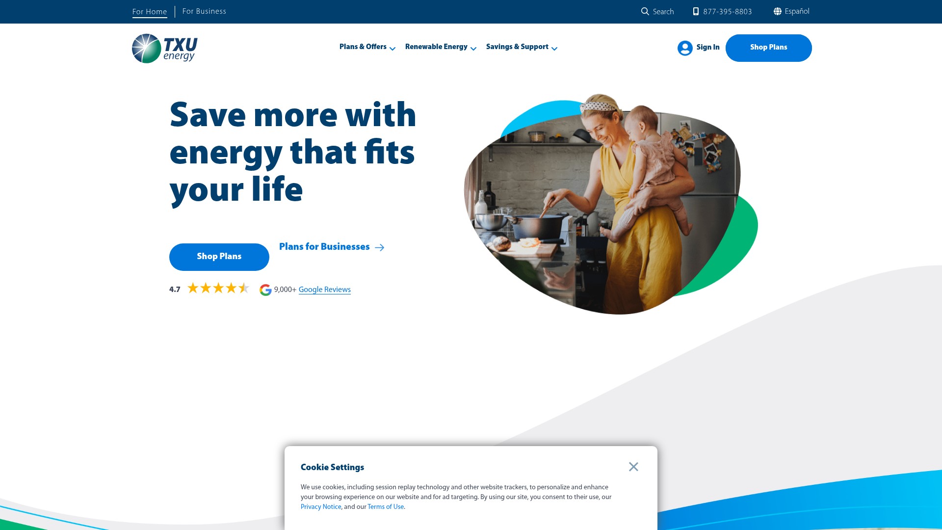 Screenshot of txu.com