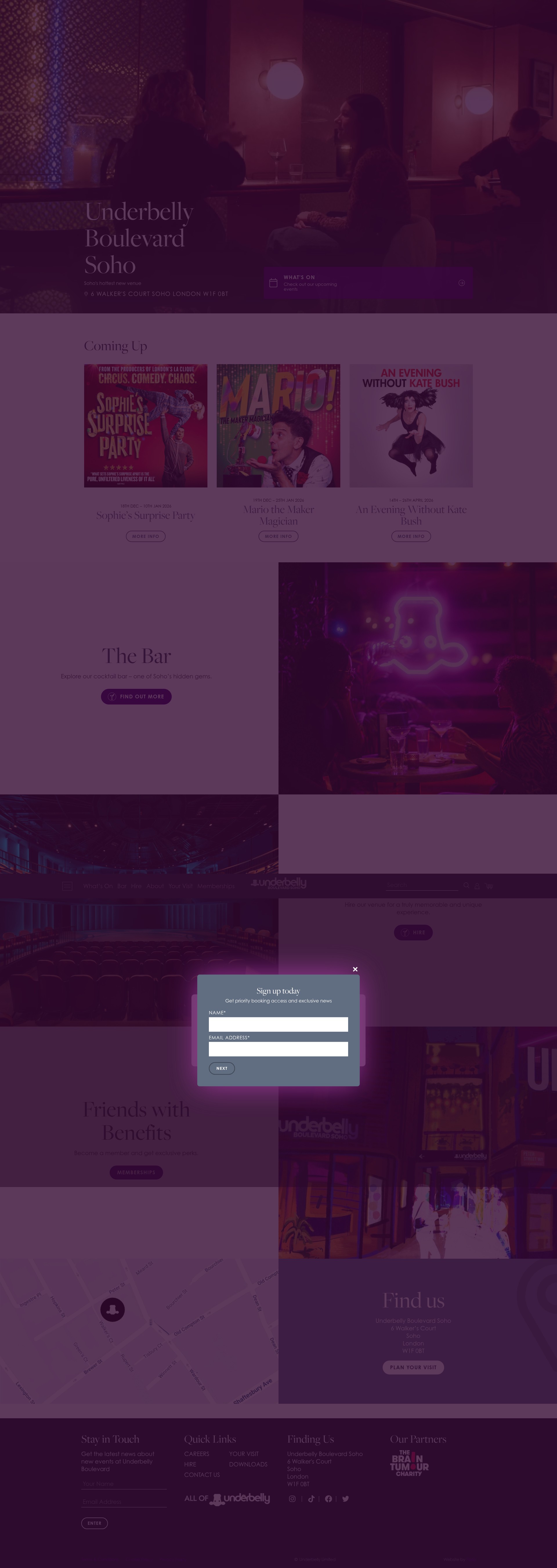 Screenshot of underbellyboulevard.com