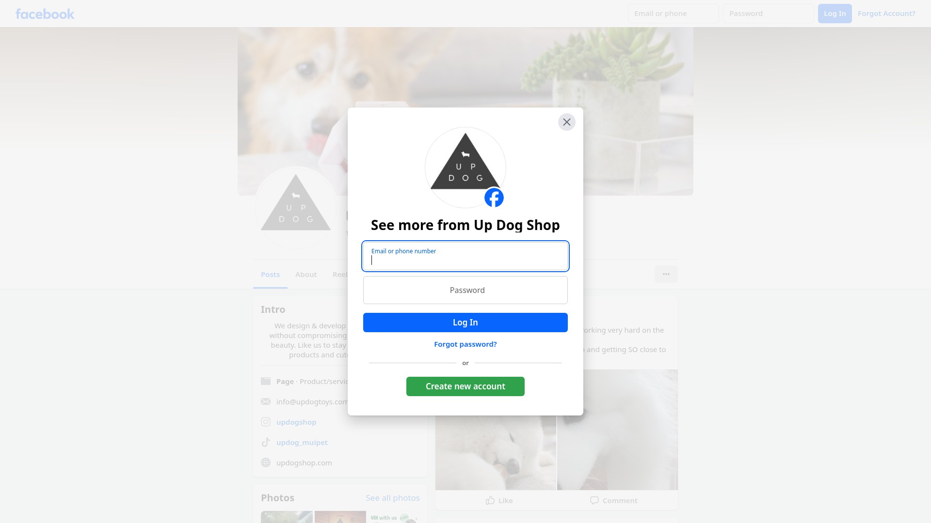 Screenshot of updogshop.com