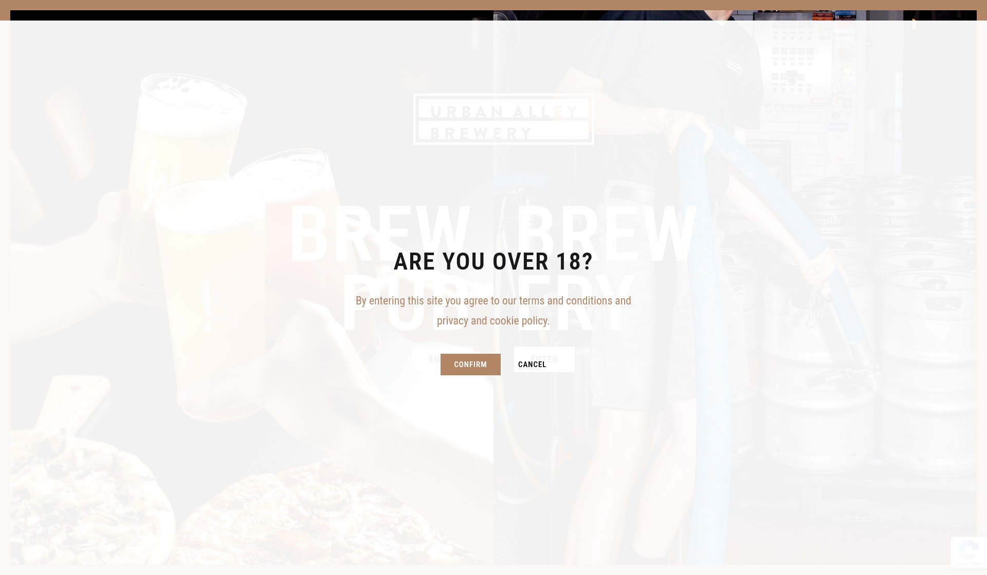 Screenshot of urbanalley.com.au