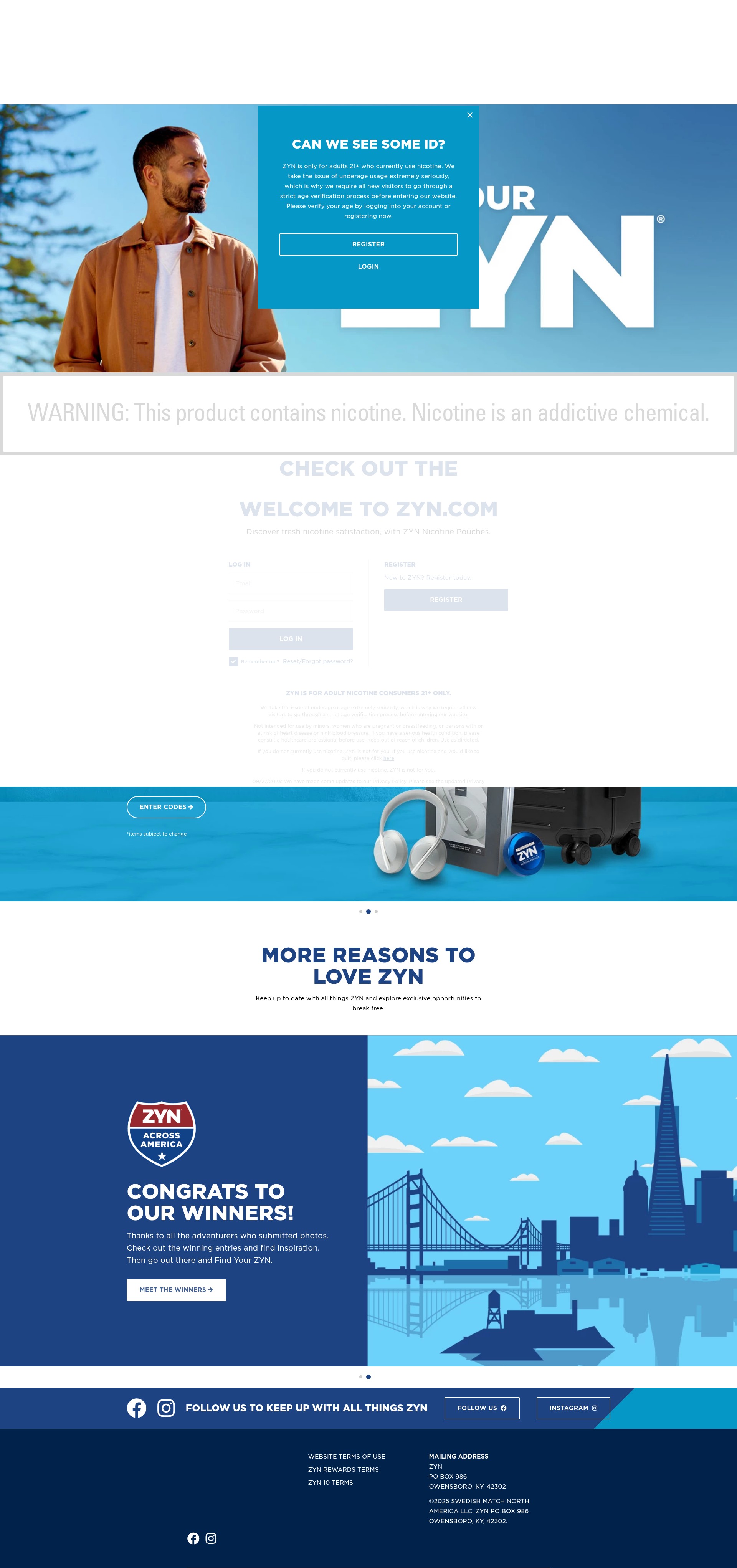 Screenshot of us.zyn.com