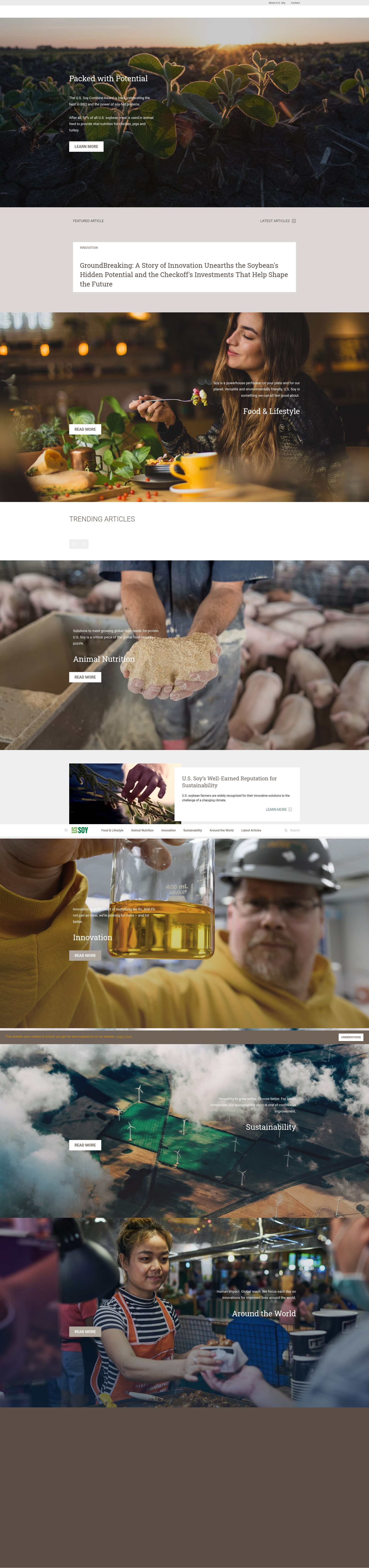 Screenshot of ussoy.org