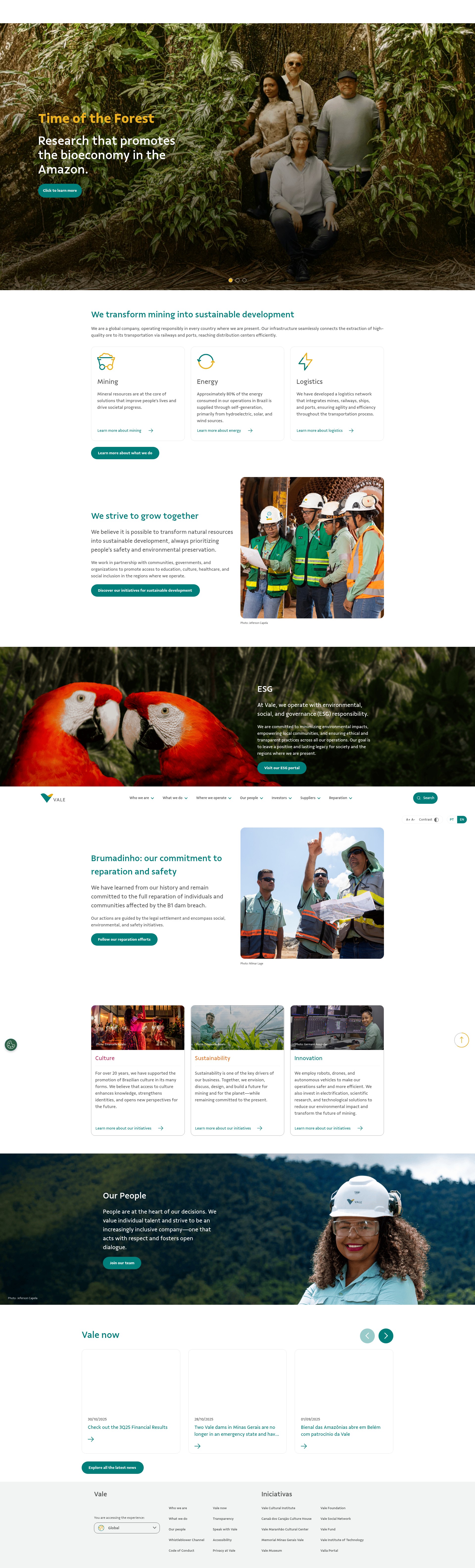 Screenshot of vale.com