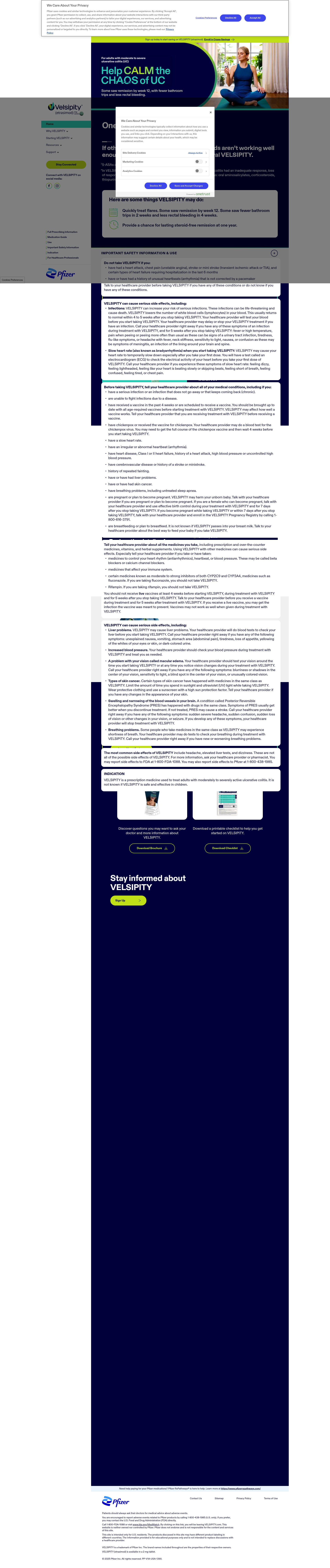 Screenshot of velsipity.com