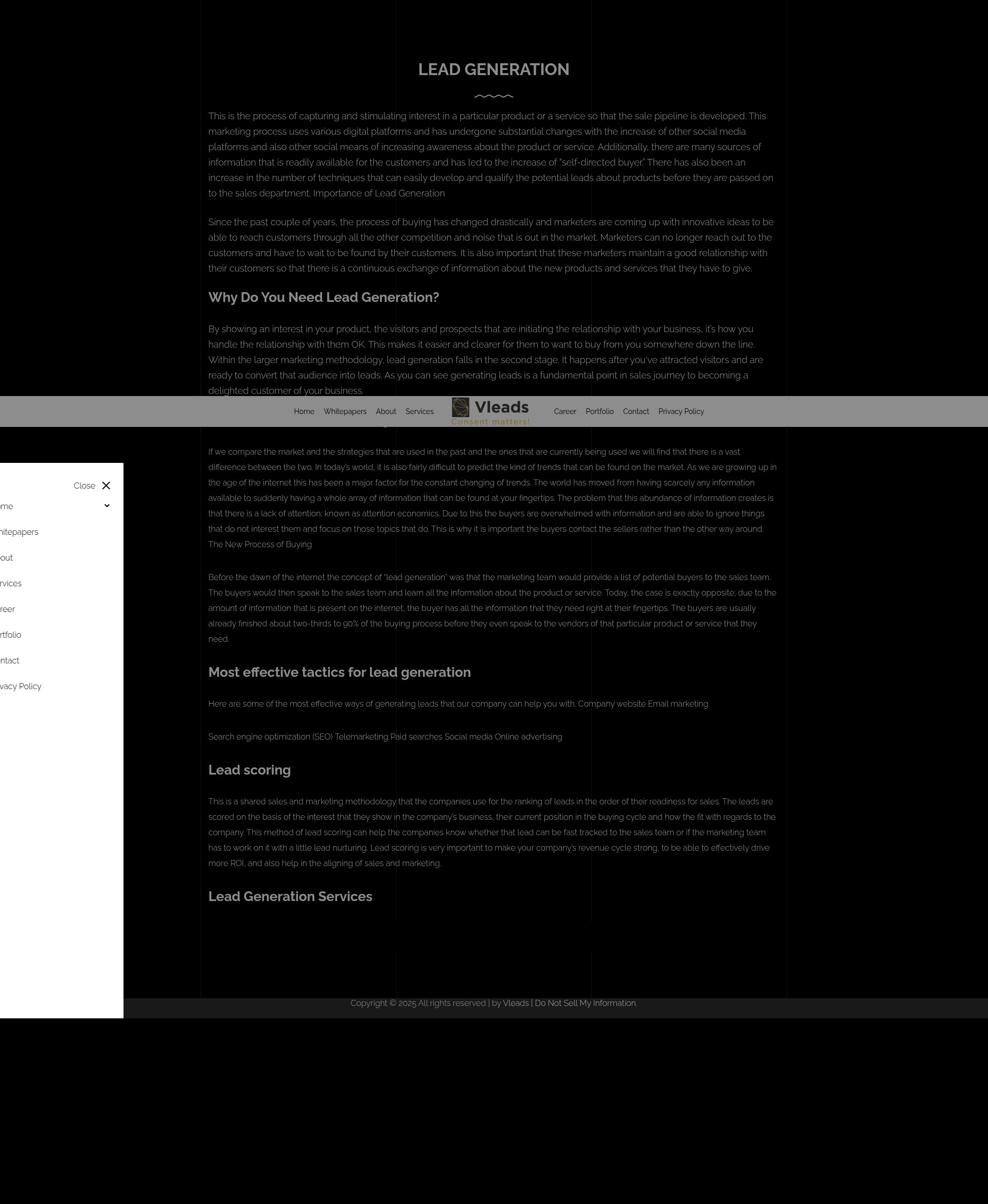 Screenshot of vleads.io