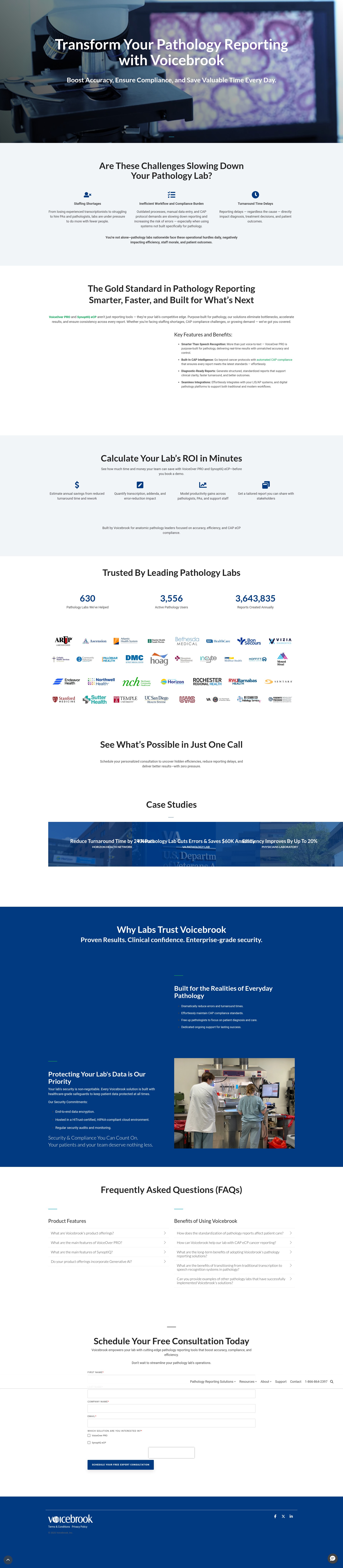 Screenshot of voicebrook.com