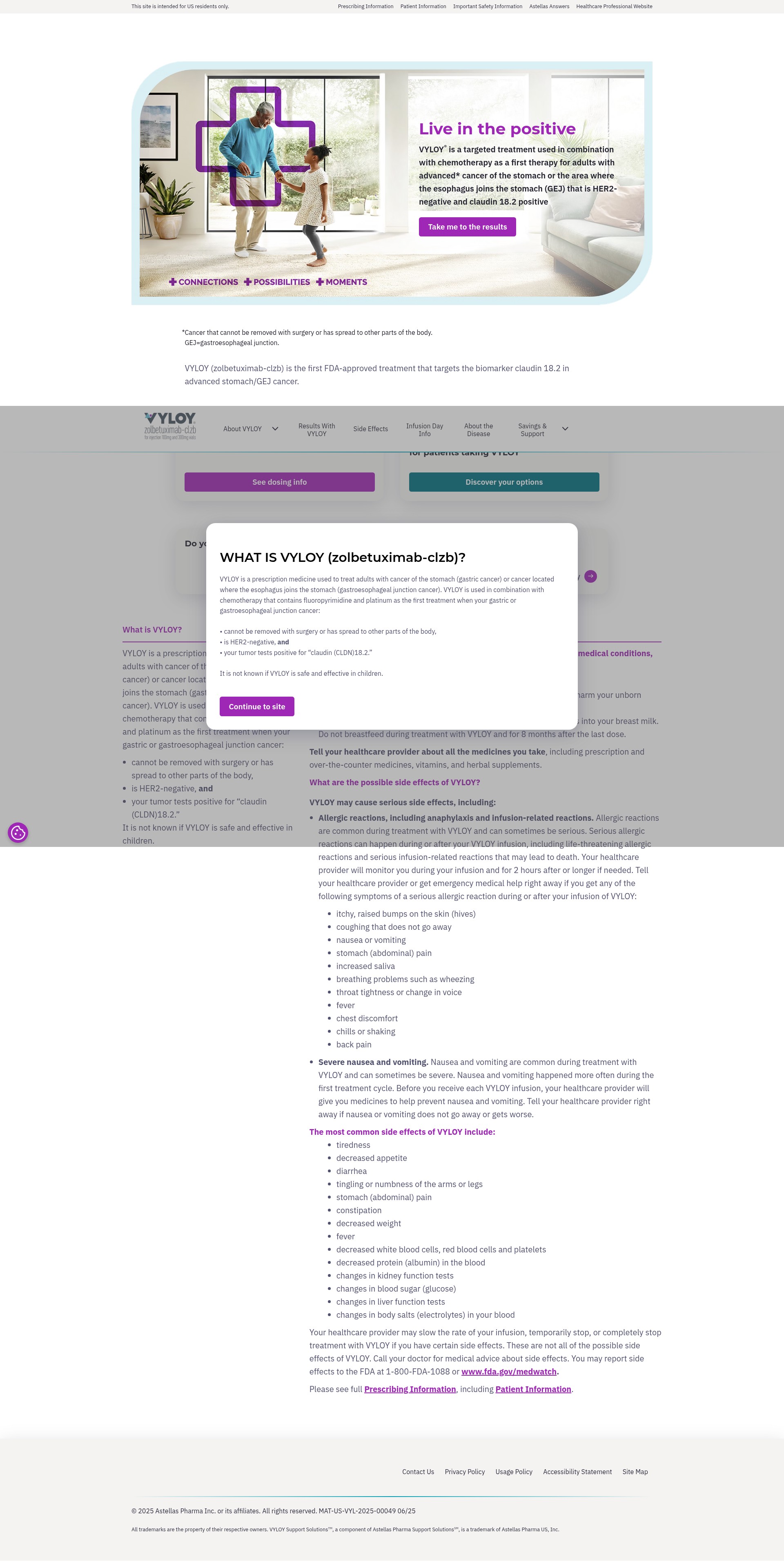 Screenshot of vyloy.com