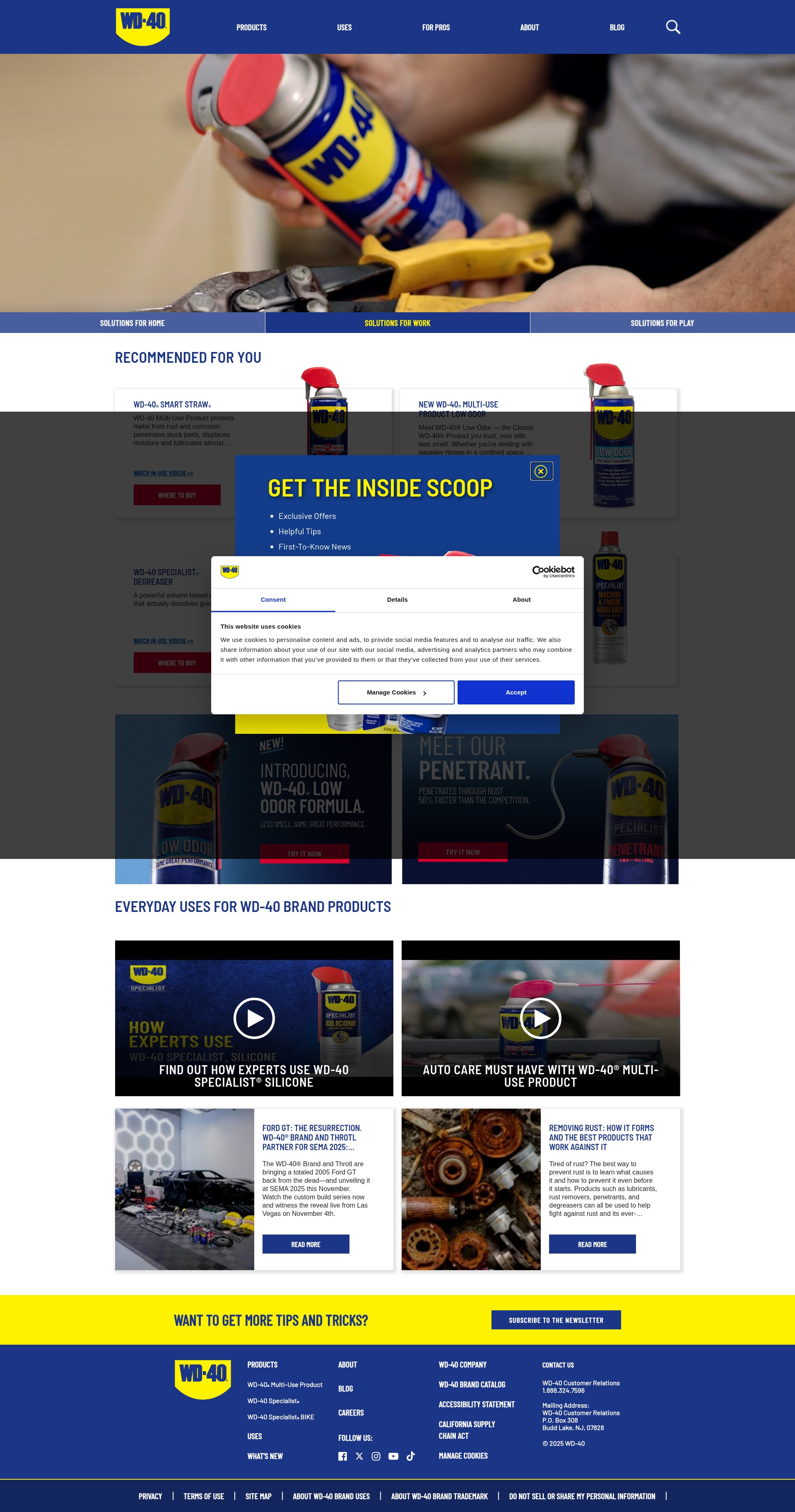 Screenshot of wd40.com