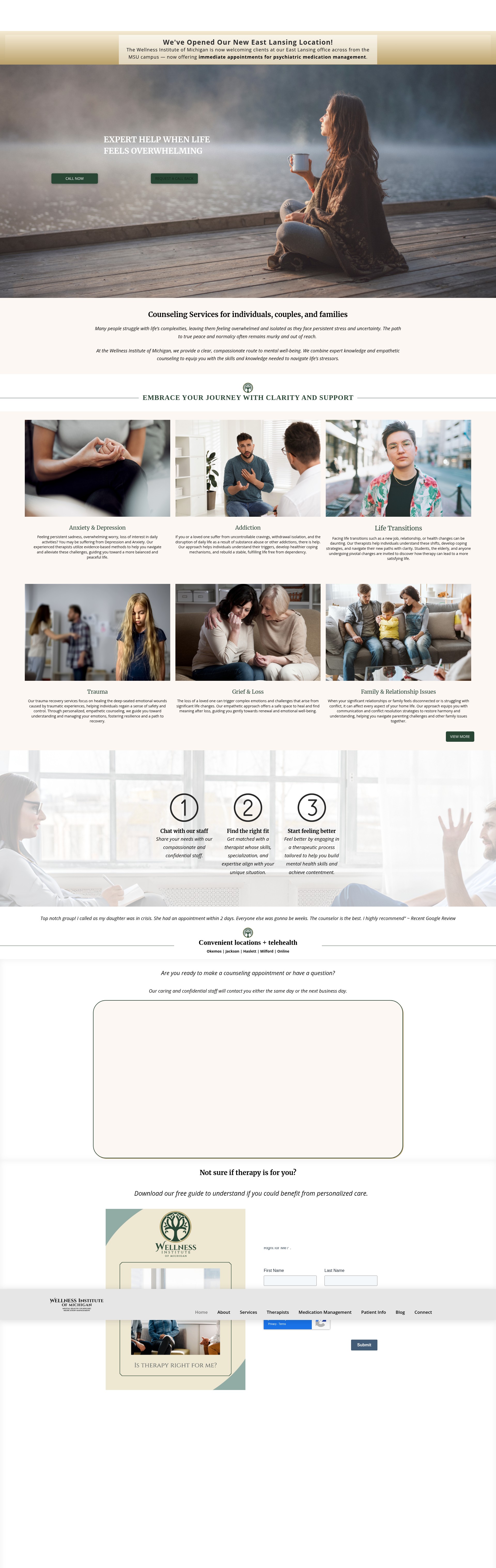 Screenshot of wellnessinstitutemi.com