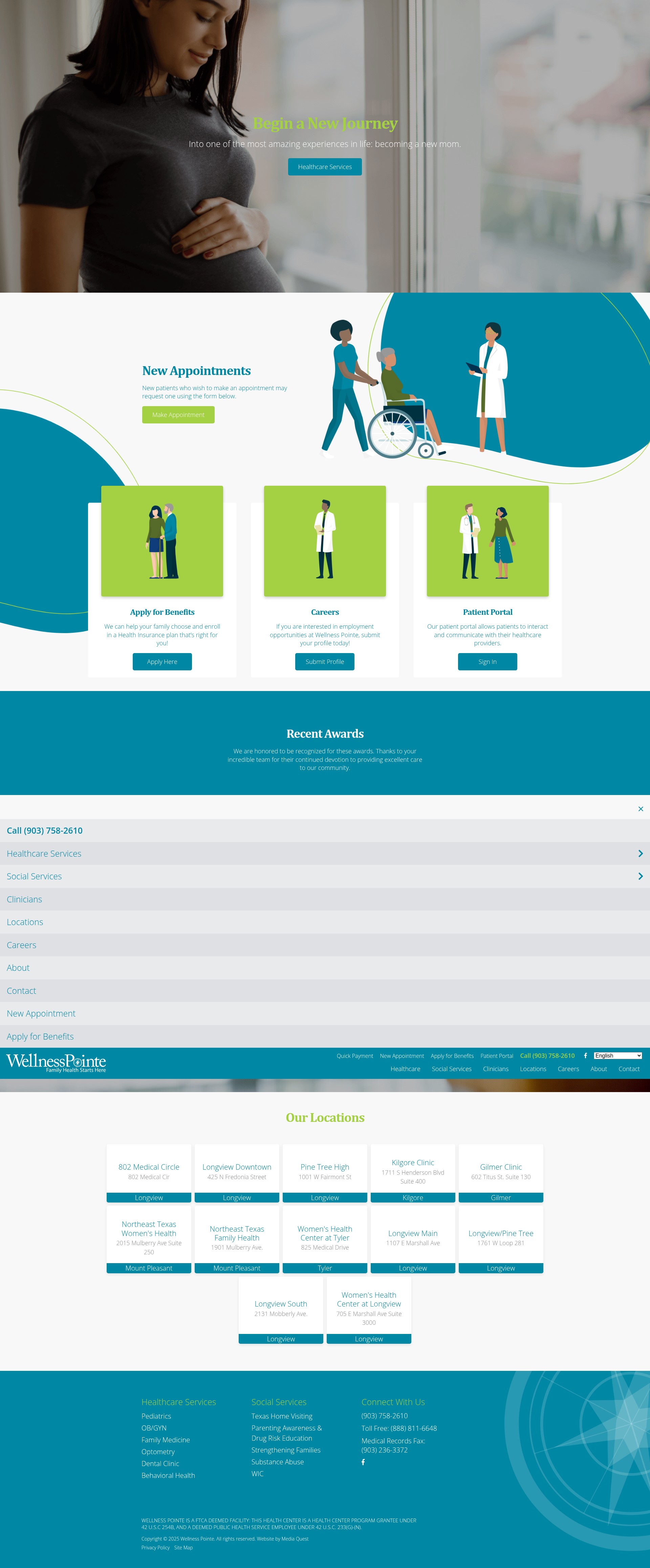 Screenshot of wellnesspointe.org