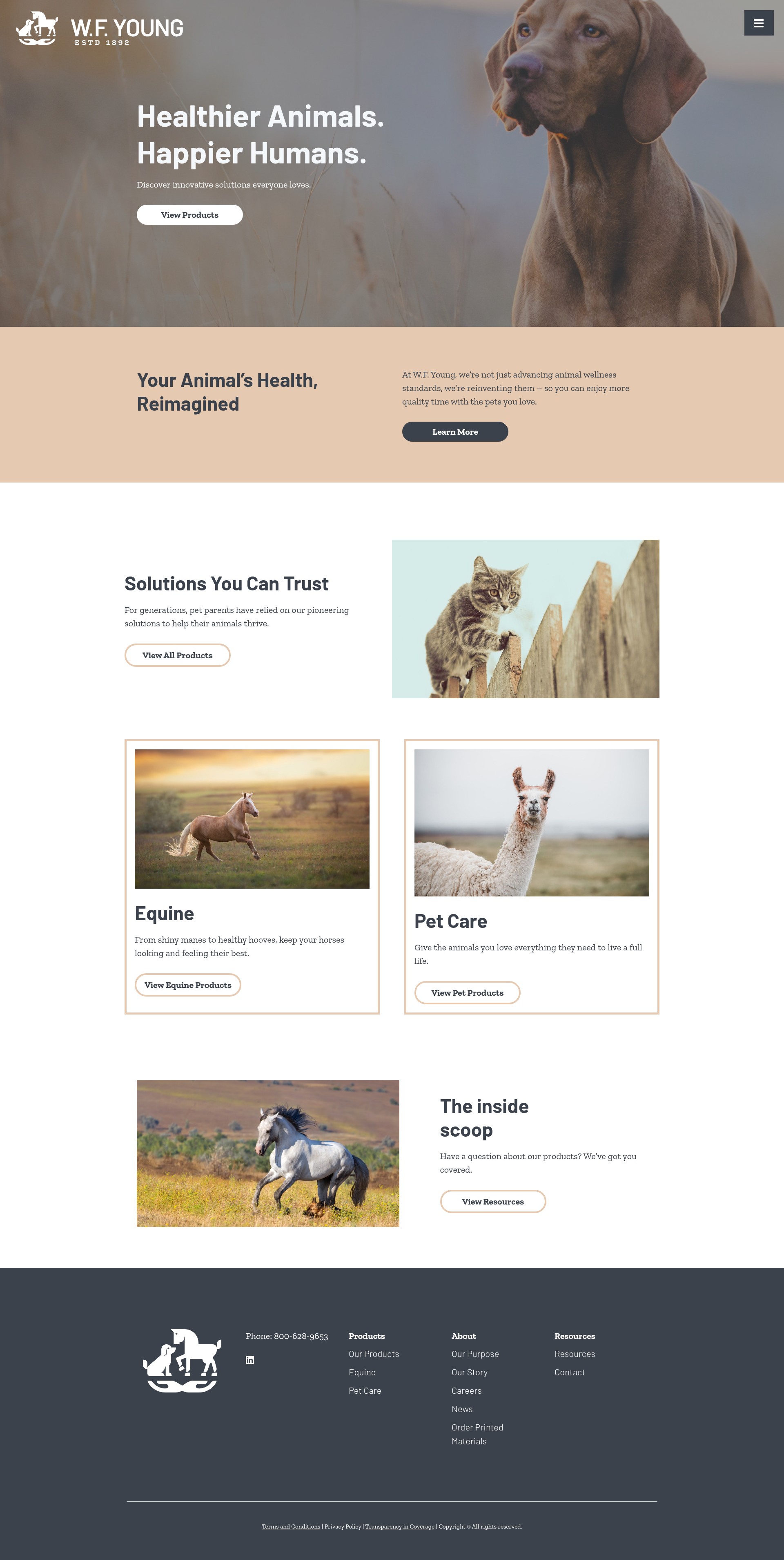 Screenshot of wfyoung.com