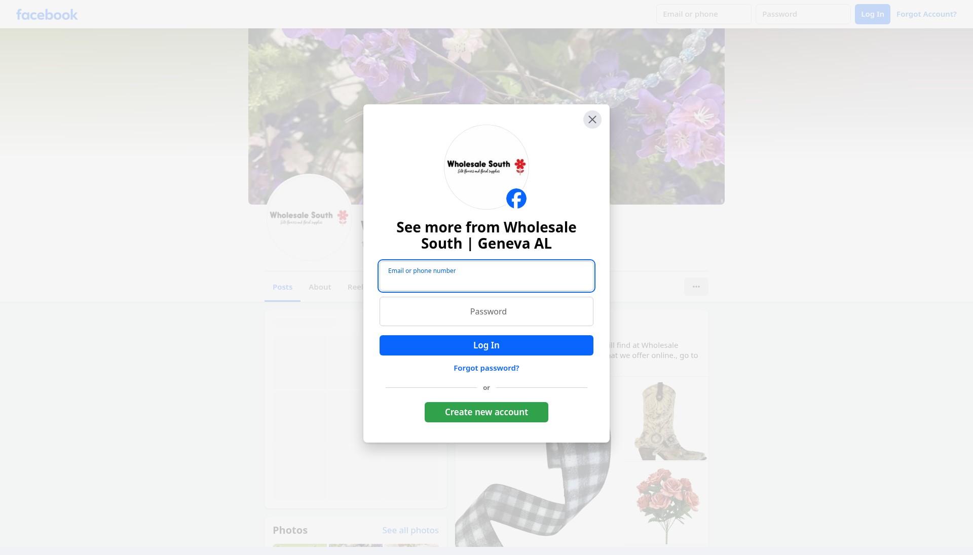 Screenshot of wholesalesouth.com