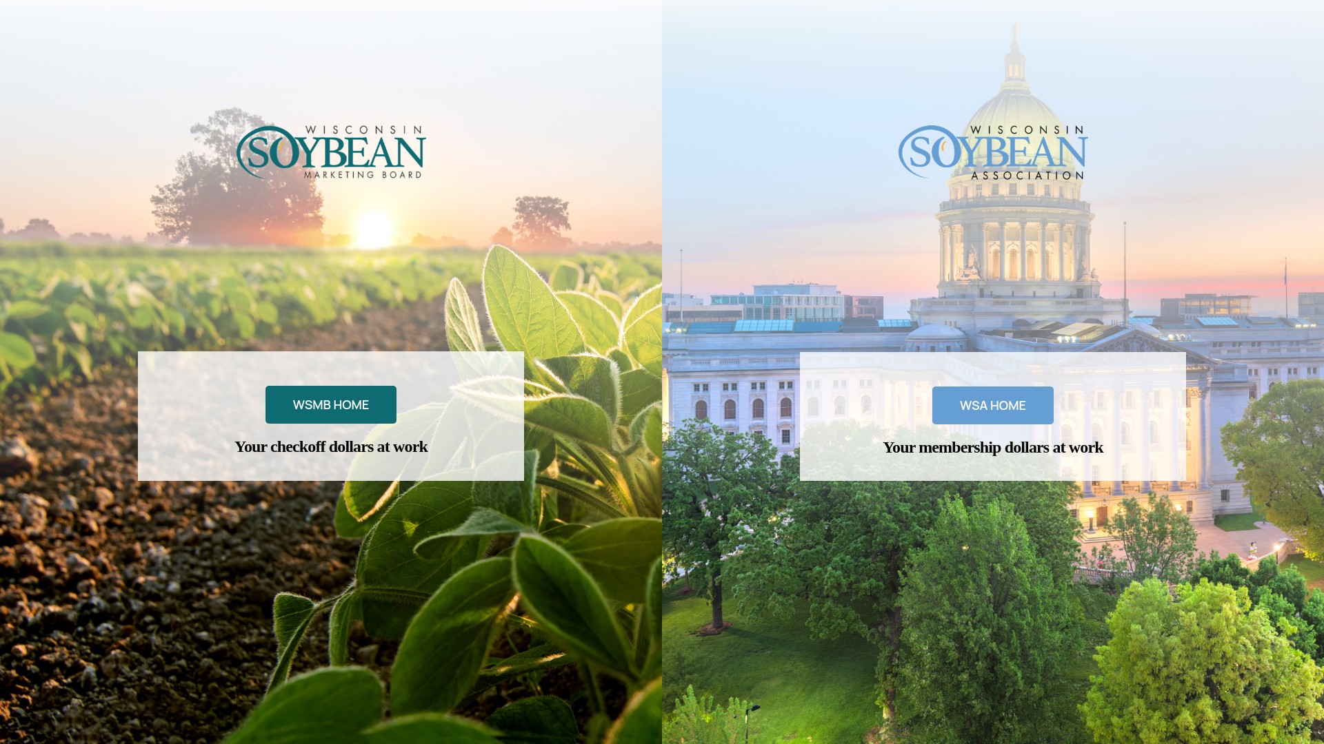 Screenshot of wisoybean.org