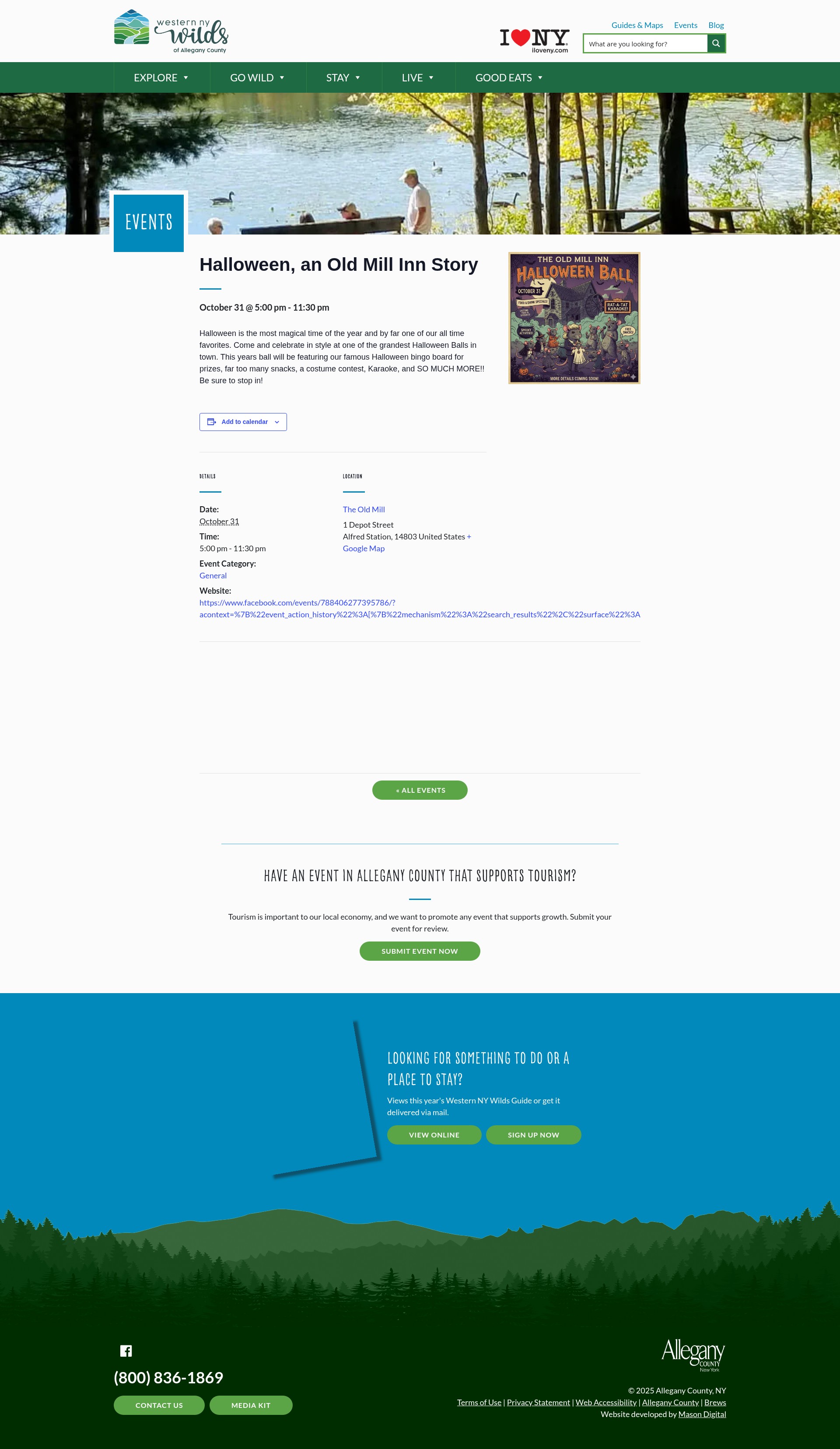 Screenshot of wnywilds.com
